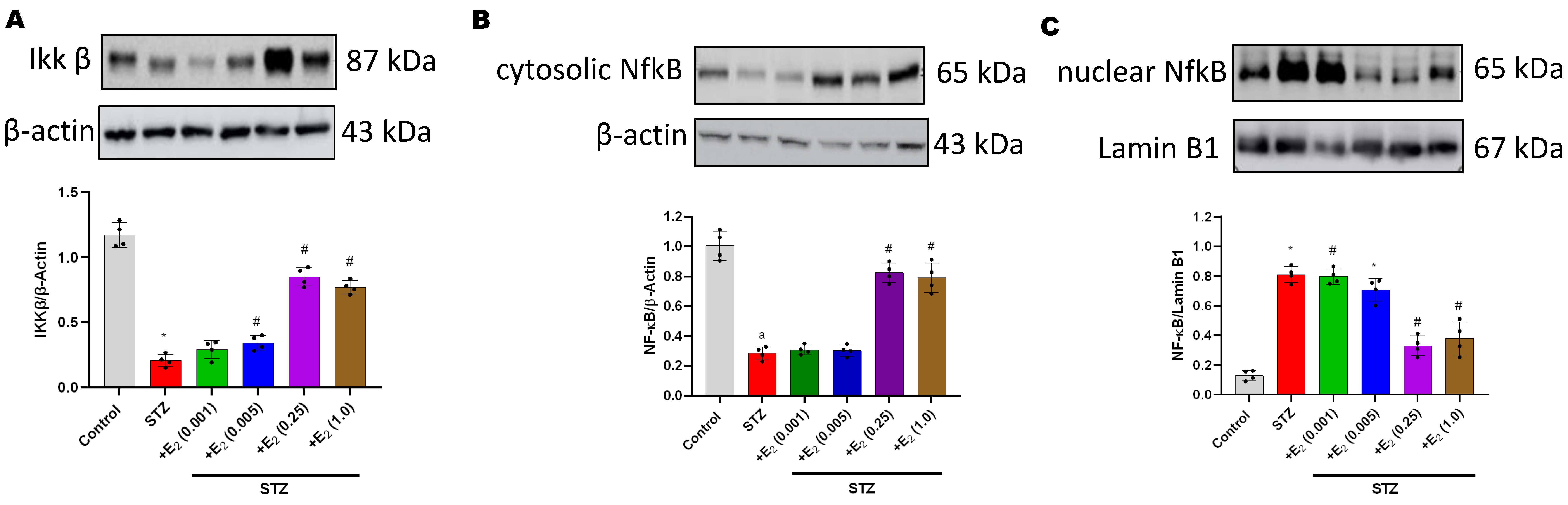 Antioxidants 12 00758 g005a