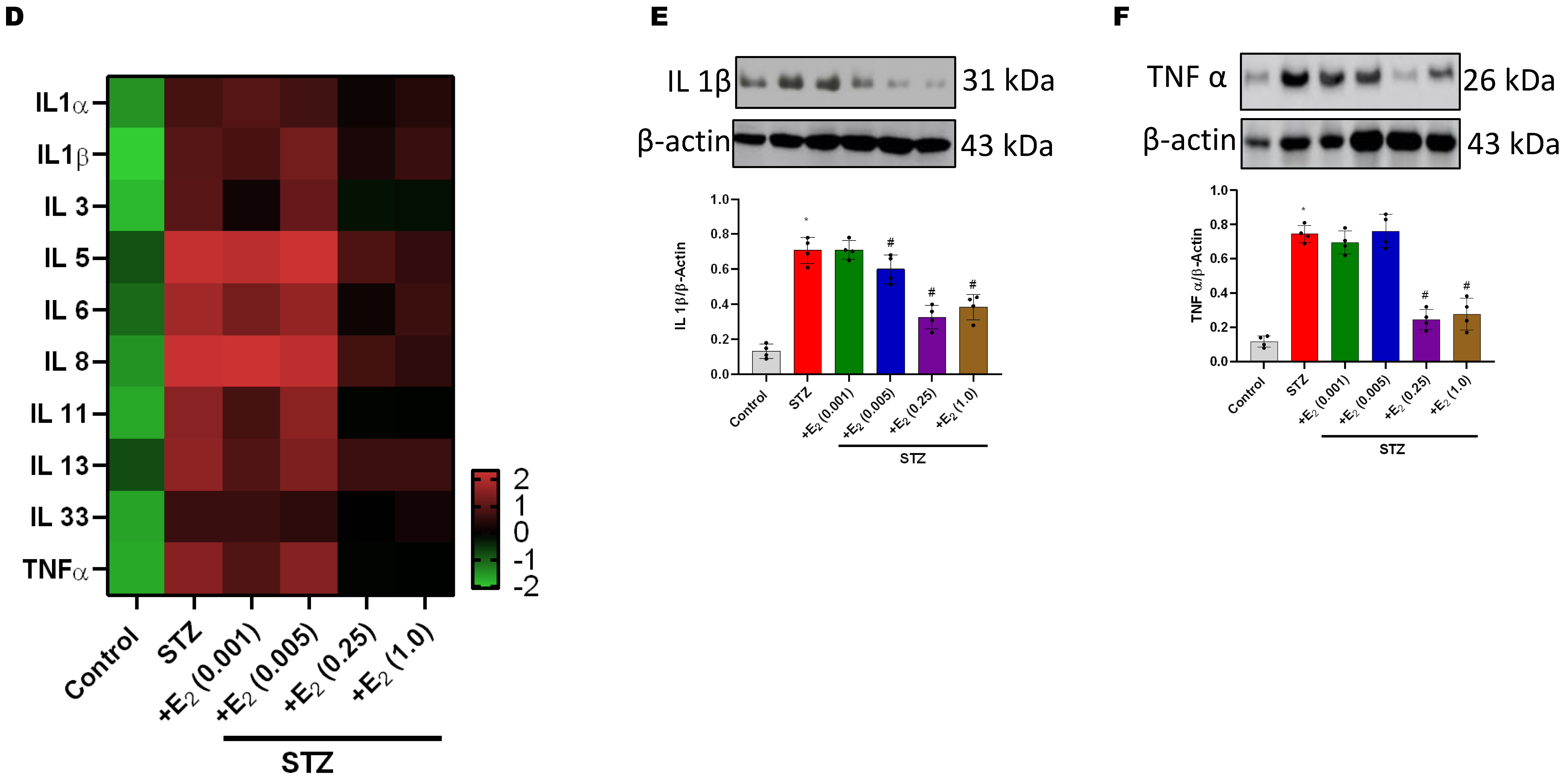 Antioxidants 12 00758 g005b