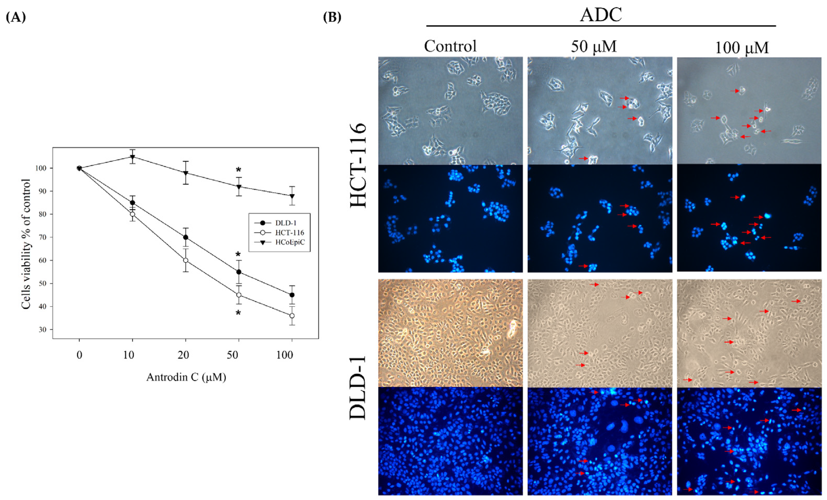 Antioxidants 12 00764 g002