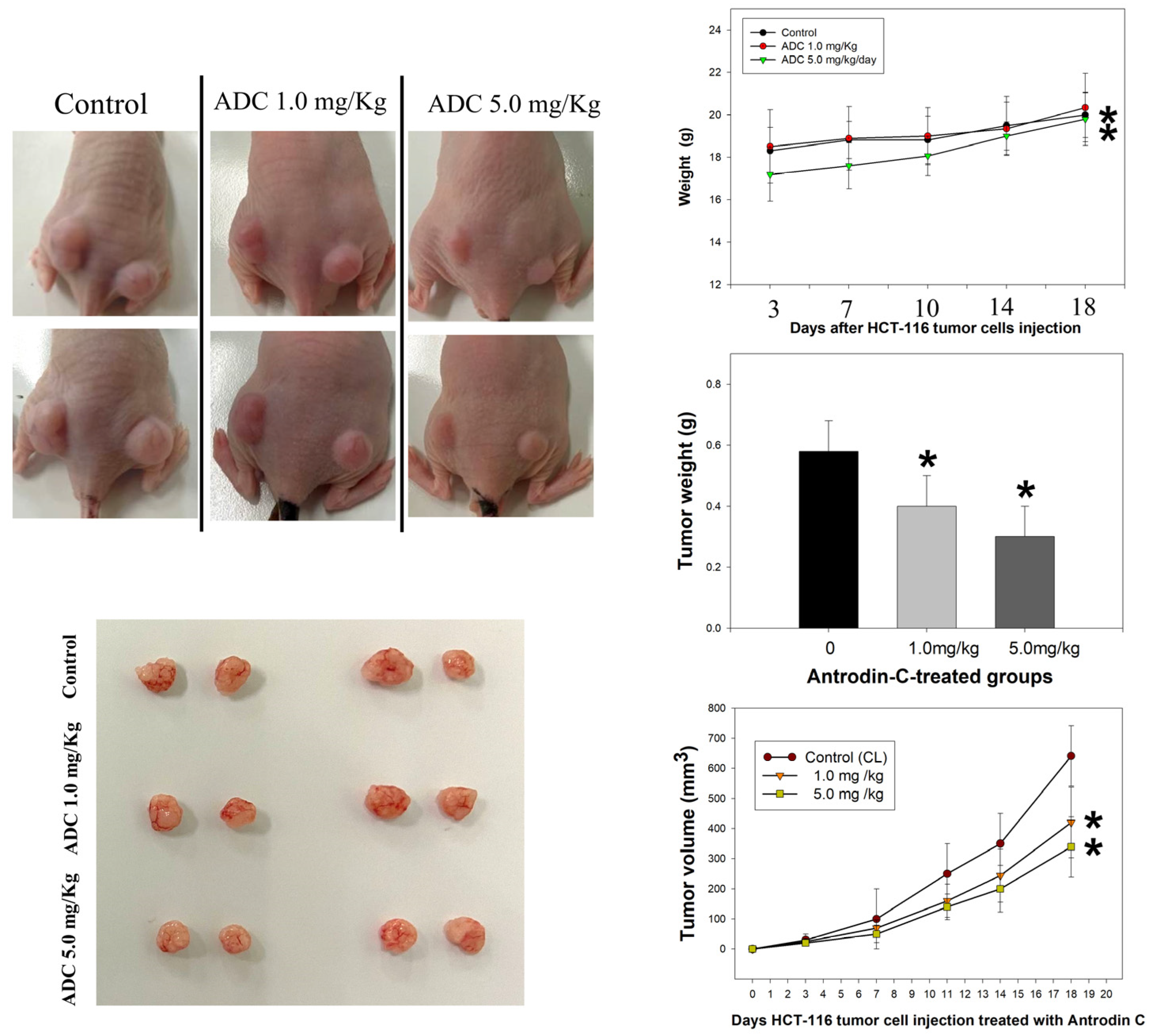 Antioxidants 12 00764 g004