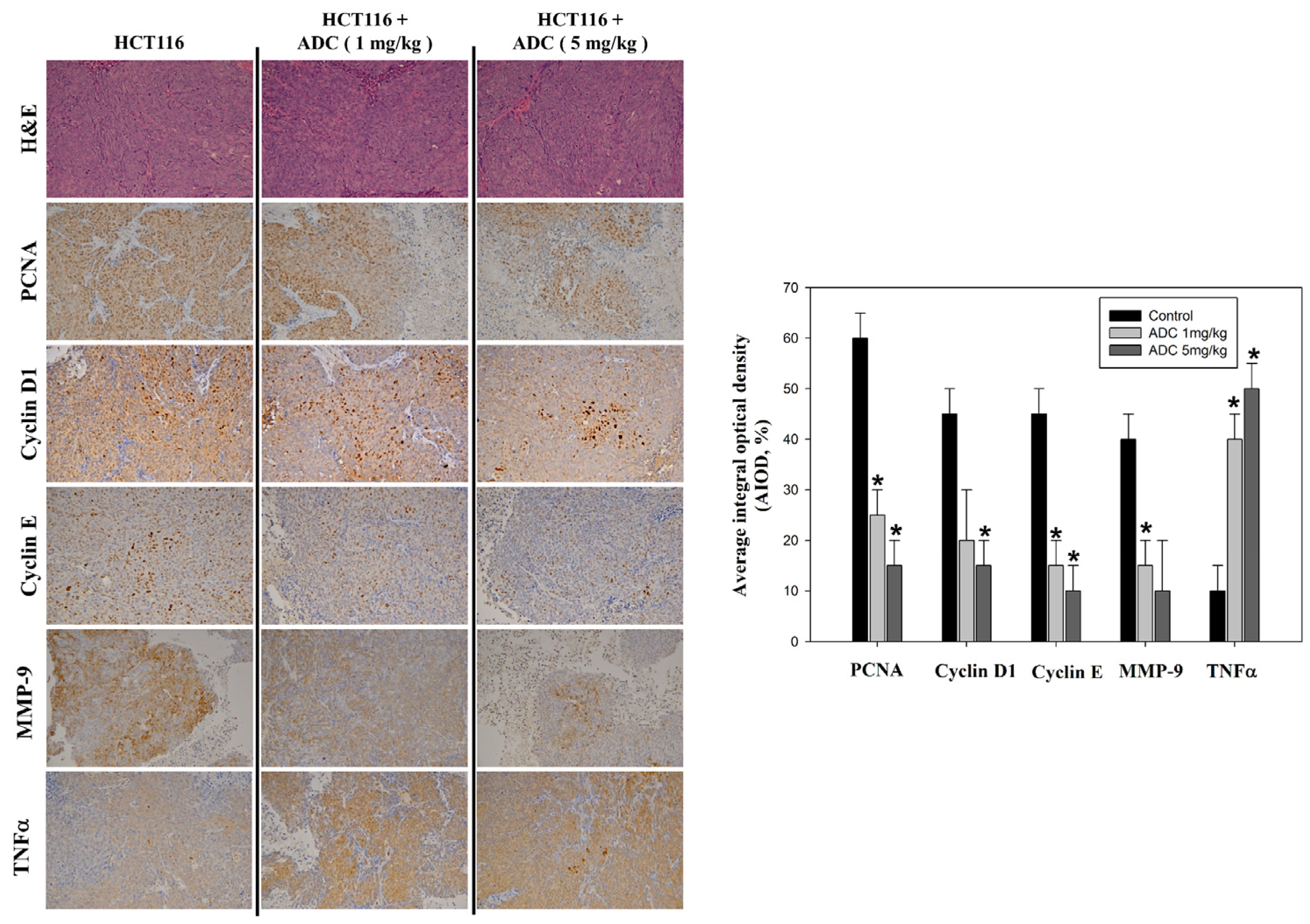 Antioxidants 12 00764 g005