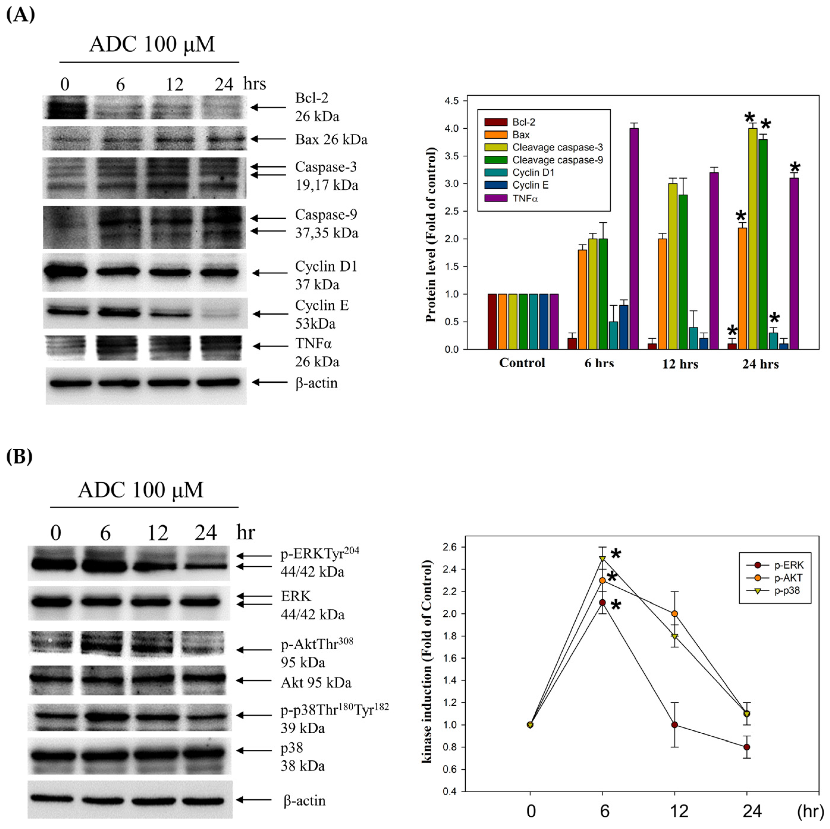 Antioxidants 12 00764 g006