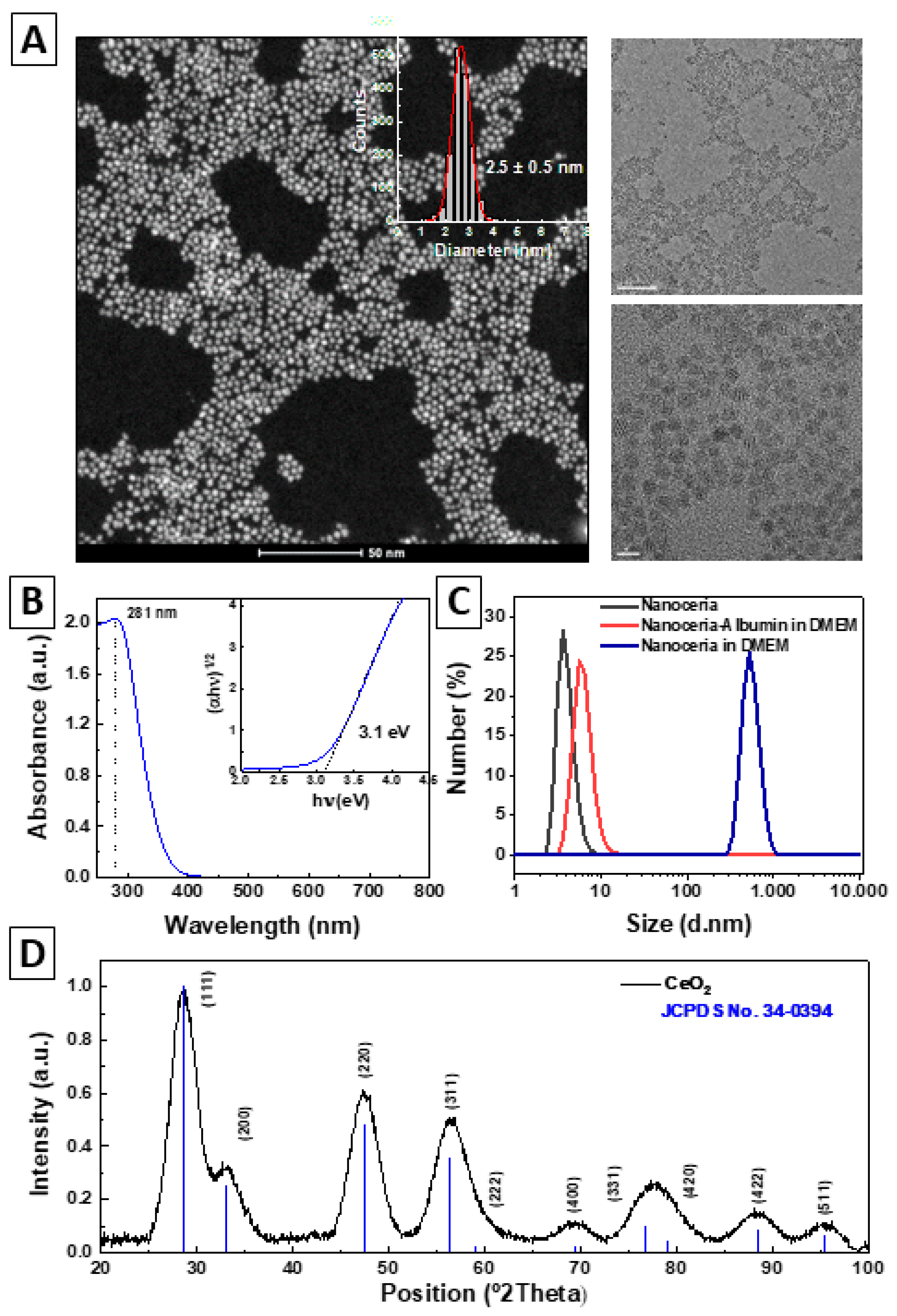 Antioxidants 12 00765 g002