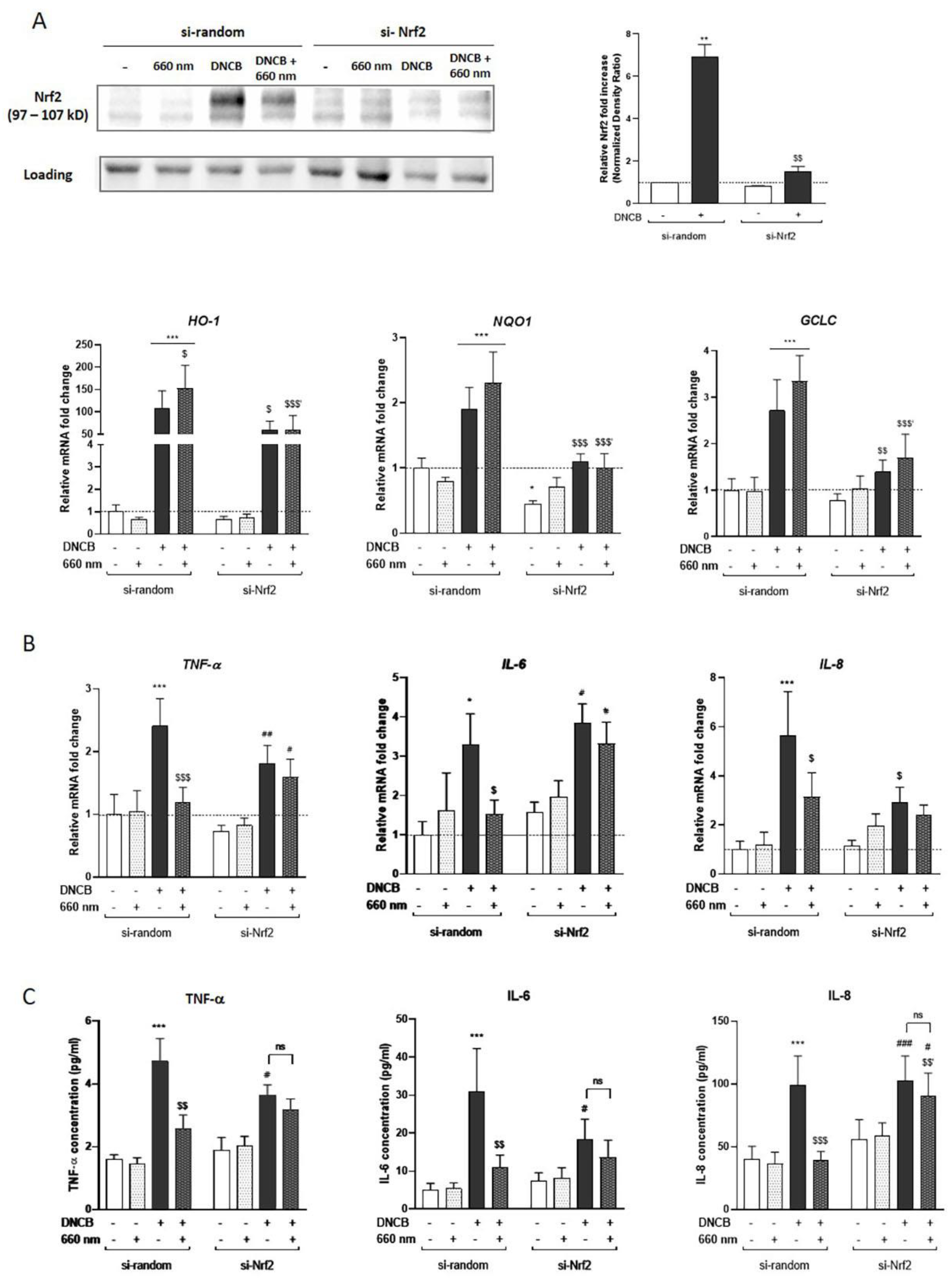 Antioxidants 12 00766 g003 Antioxidants 12 00766 g003