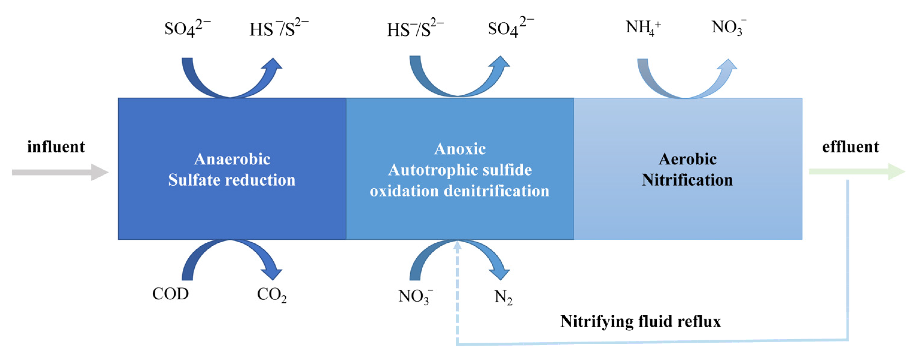 Antioxidants 12 00767 g003