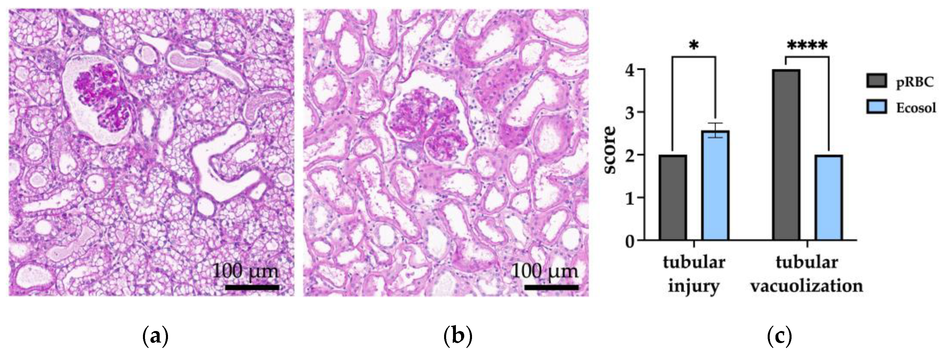 Antioxidants 12 00768 g008
