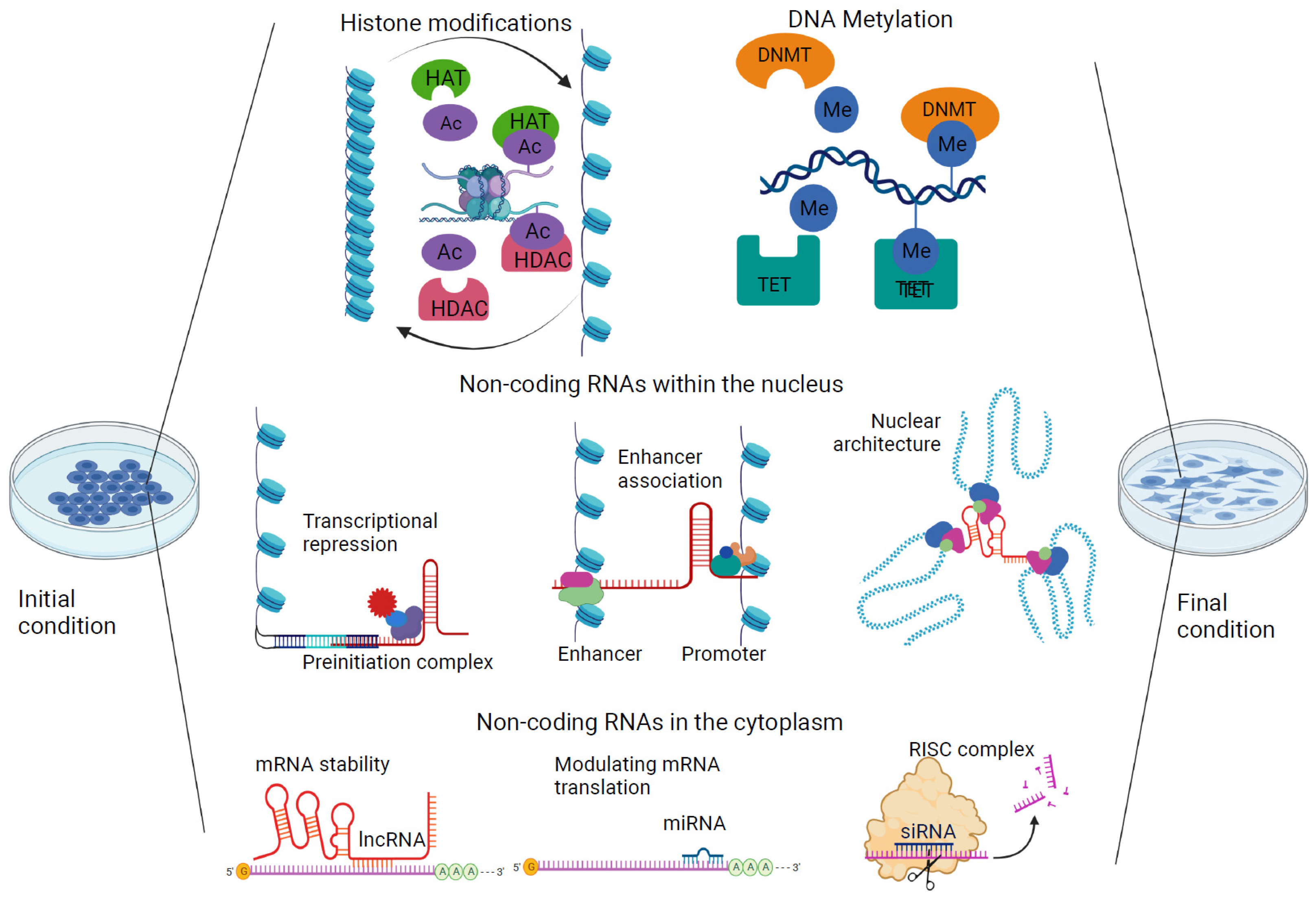 Antioxidants 12 00771 g002