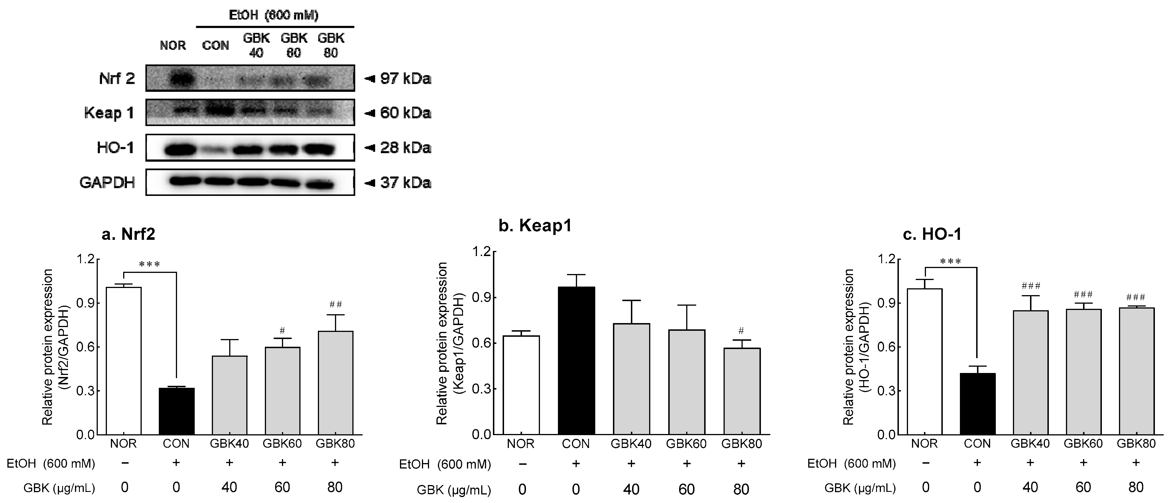 Antioxidants 12 00774 g004 Antioxidants 12 00774 g004