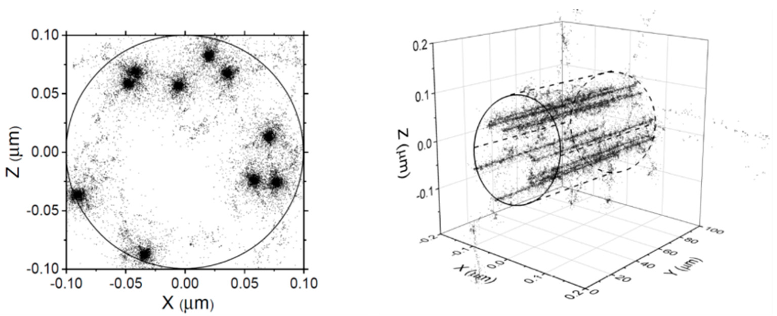 Antioxidants 12 00776 g001