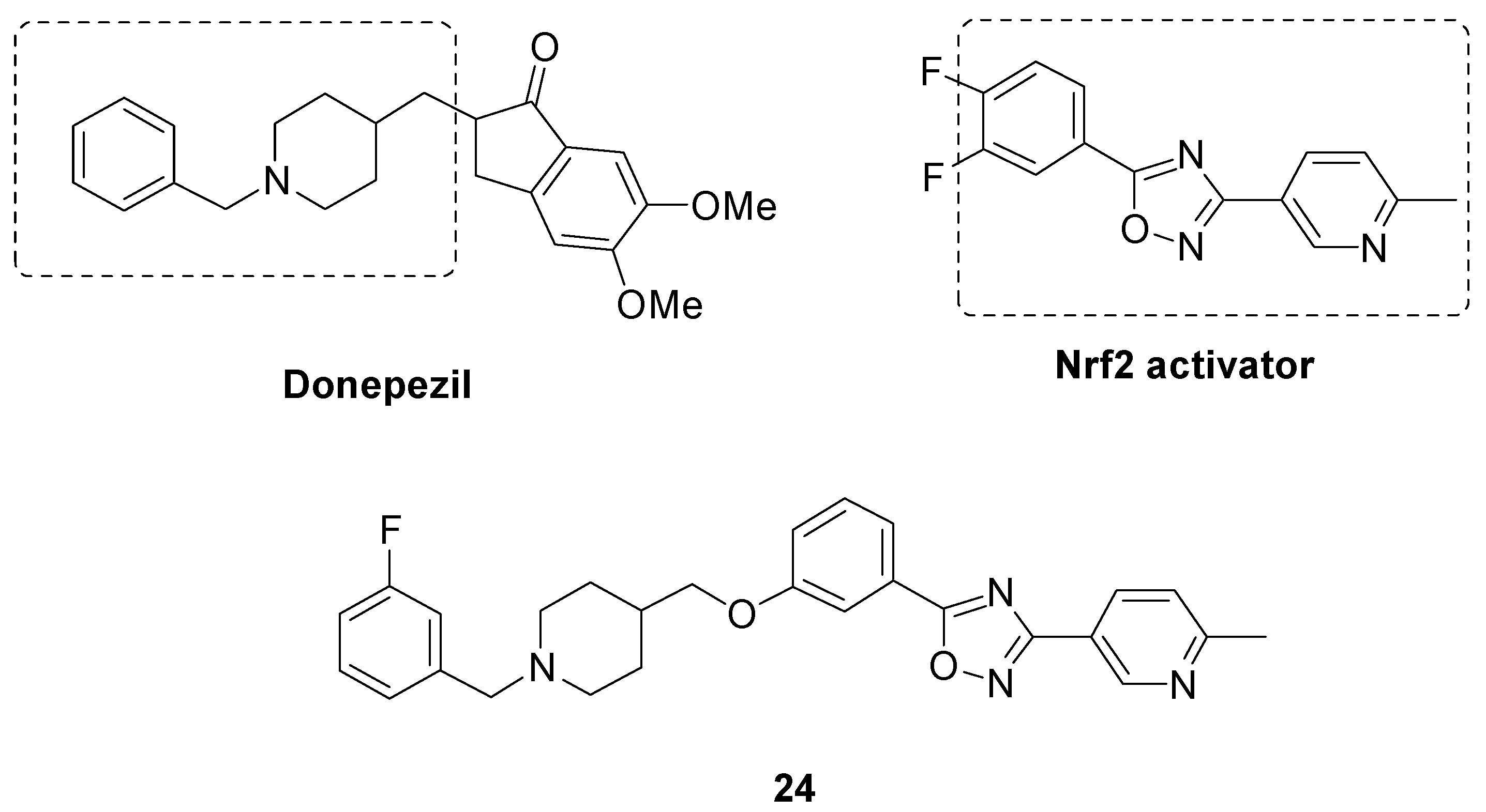 Antioxidants 12 00778 g019