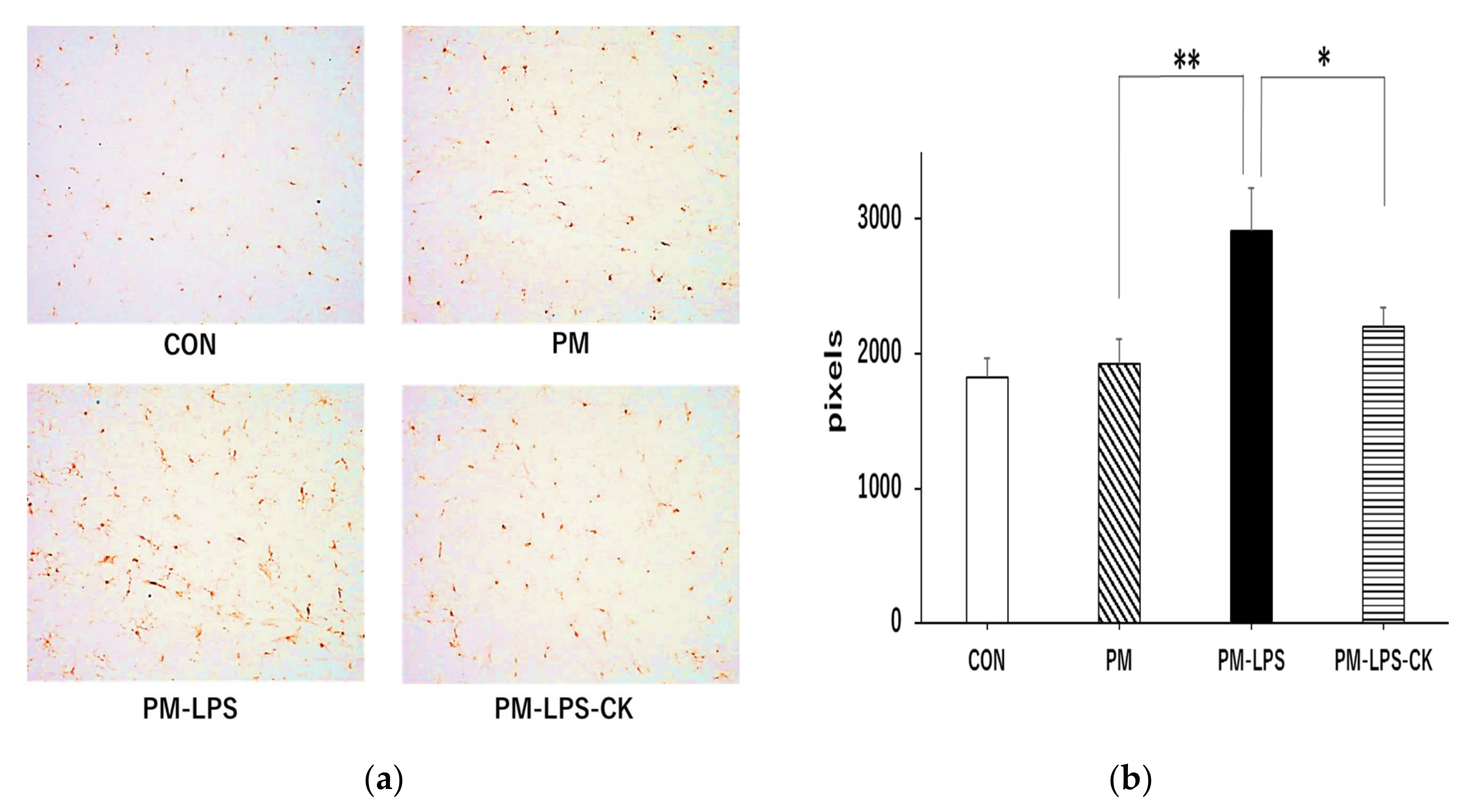 Antioxidants 12 00779 g005