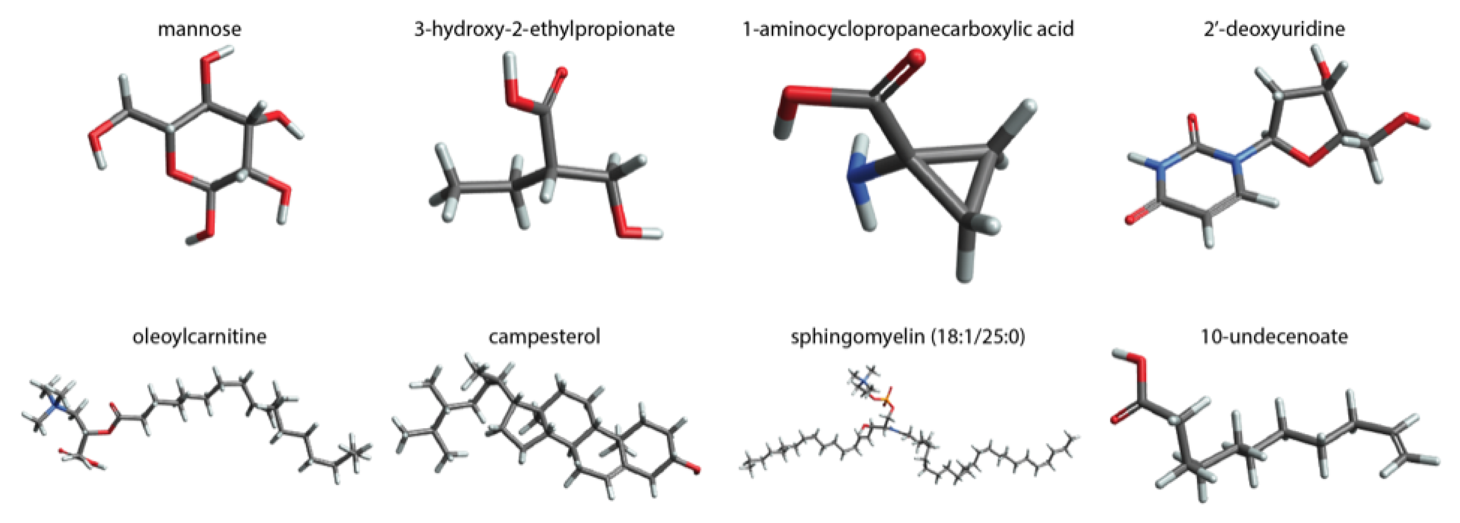 Antioxidants 12 00780 g001 Antioxidants 12 00780 g001