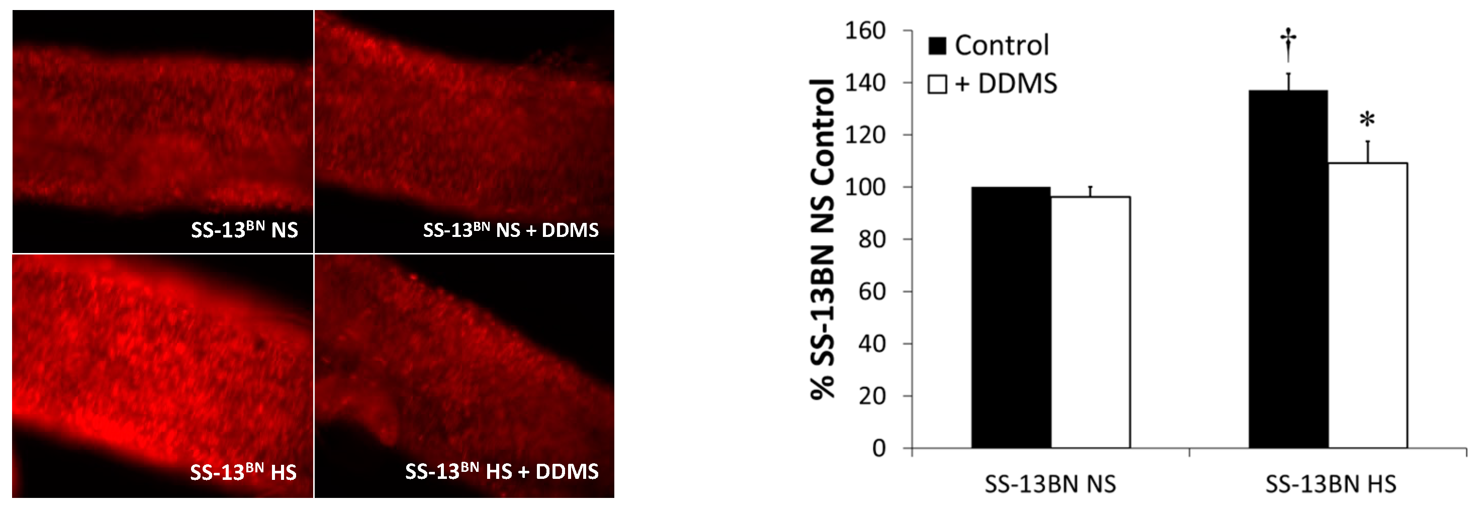 Antioxidants 12 00783 g004