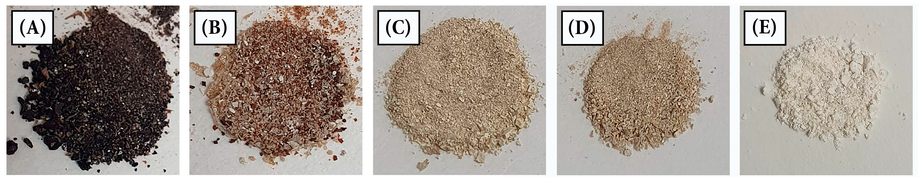 Antioxidants 12 00784 g001