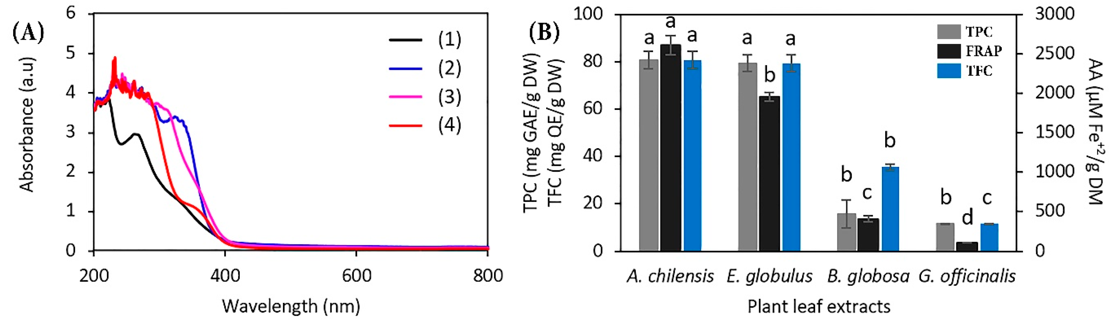Antioxidants 12 00784 g002