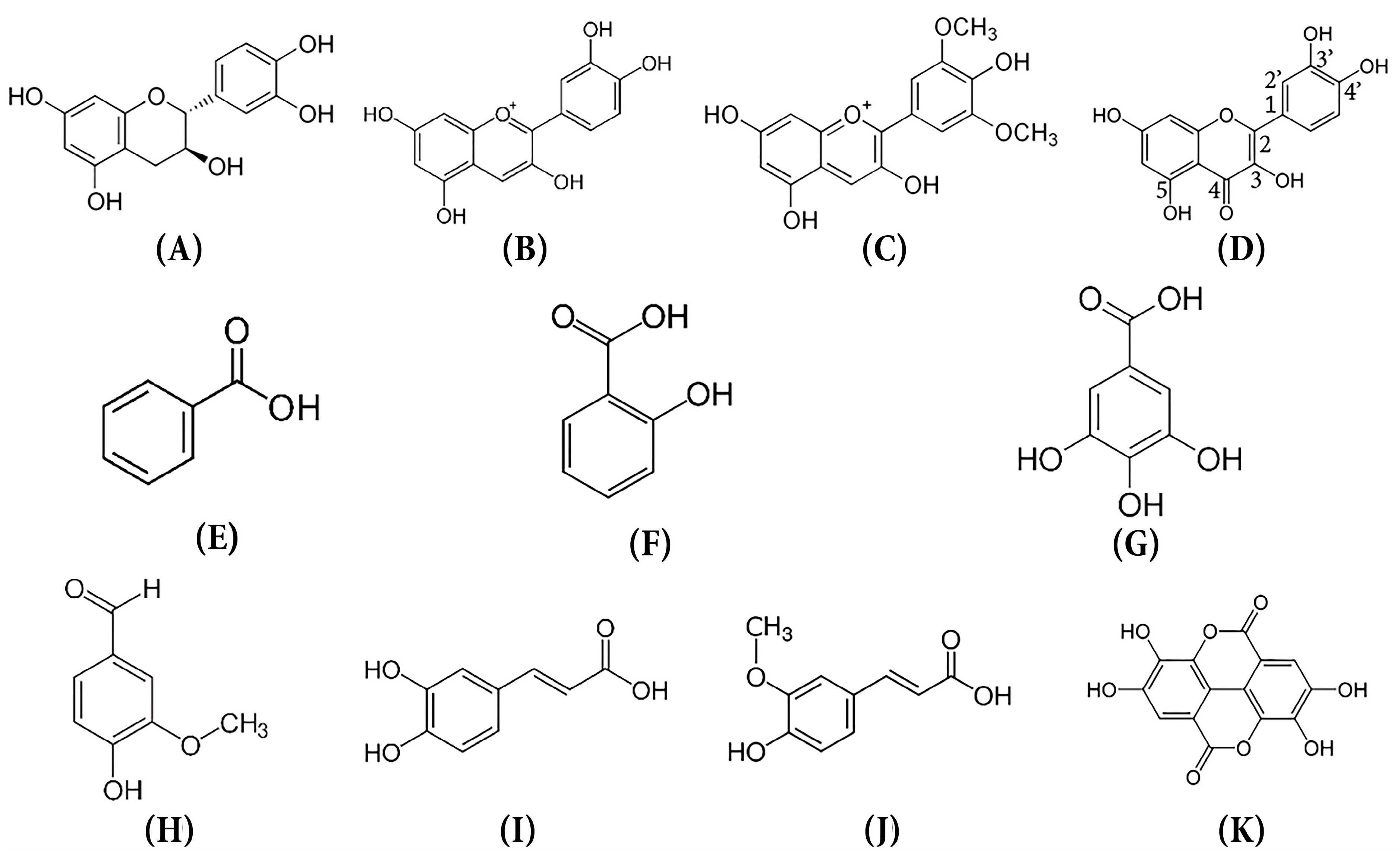Antioxidants 12 00784 g004