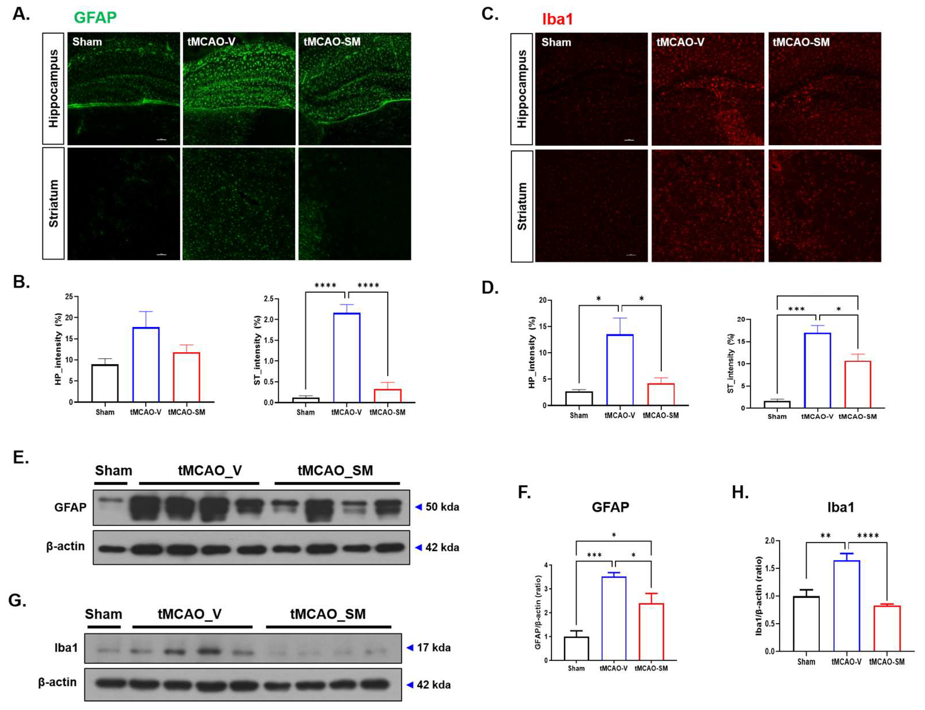 Antioxidants 12 00785 g002