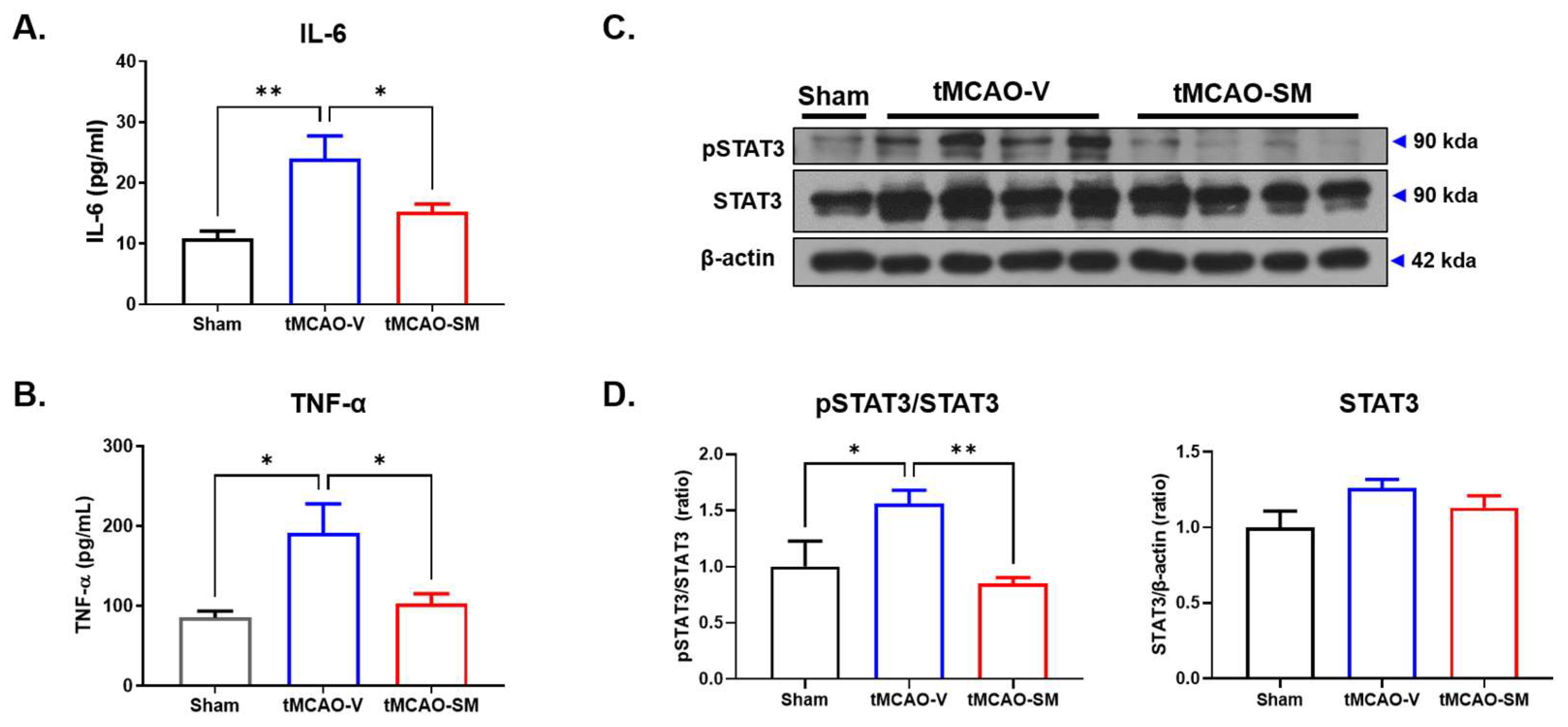 Antioxidants 12 00785 g003