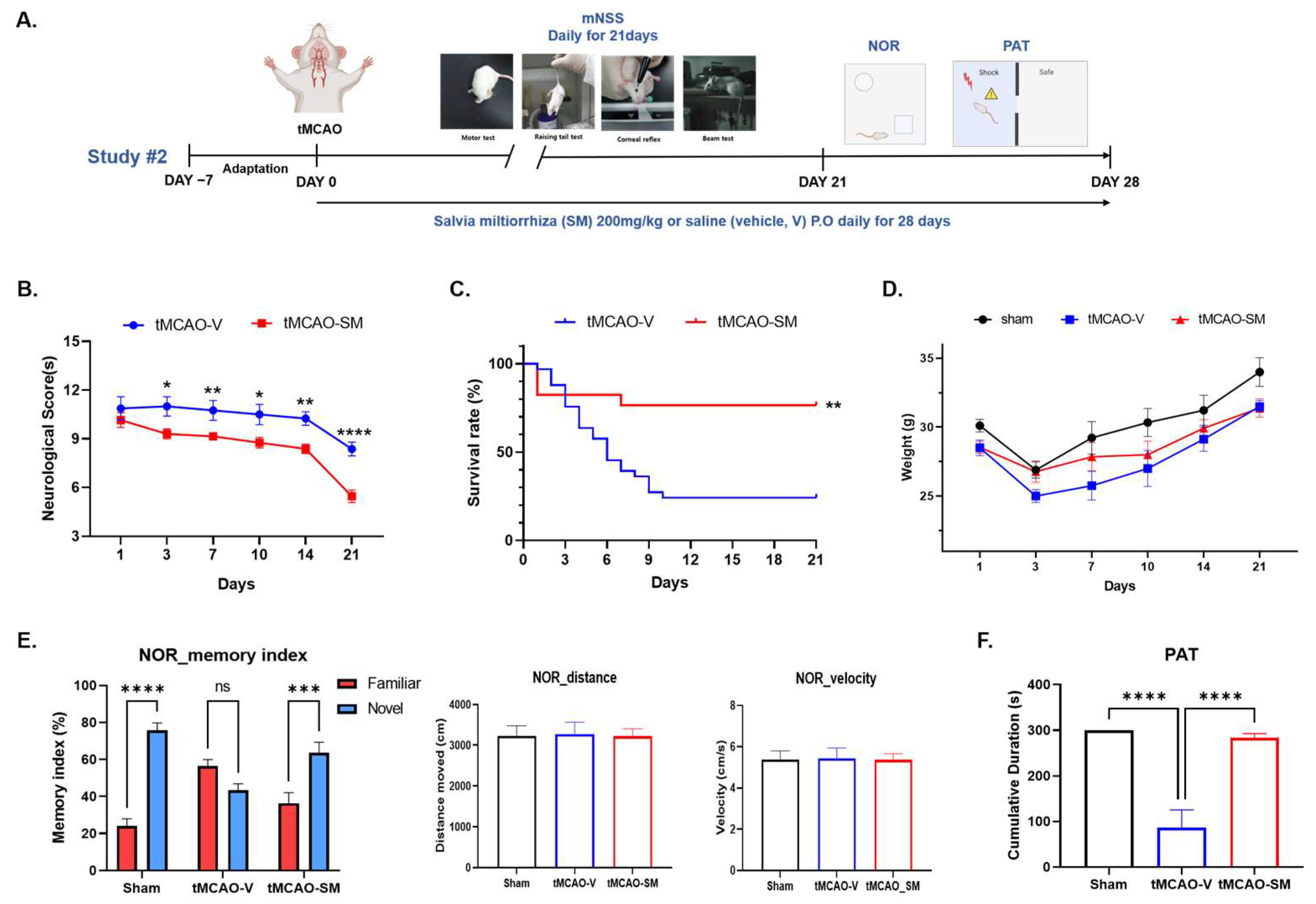 Antioxidants 12 00785 g006