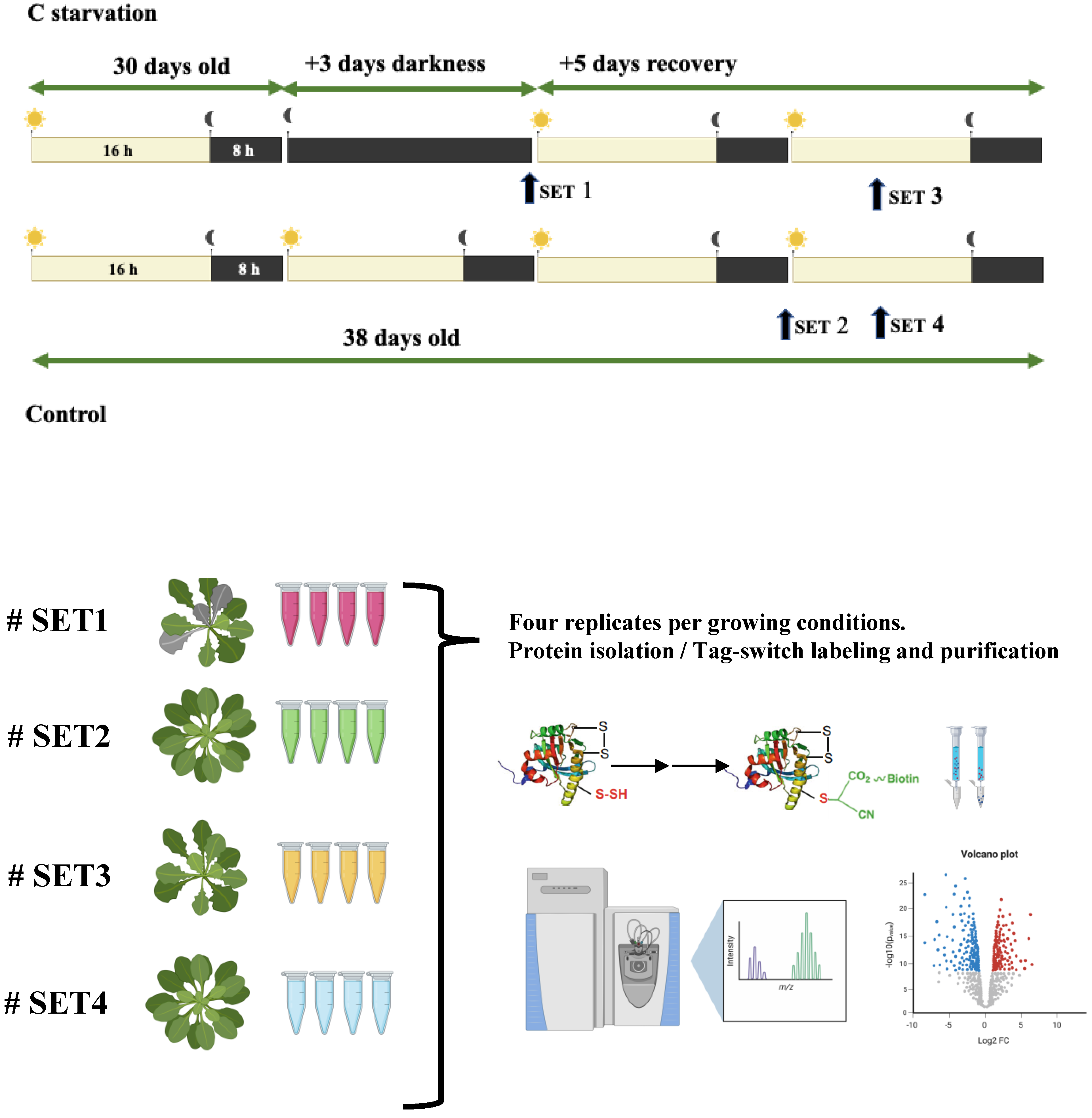 Antioxidants 12 00789 g001