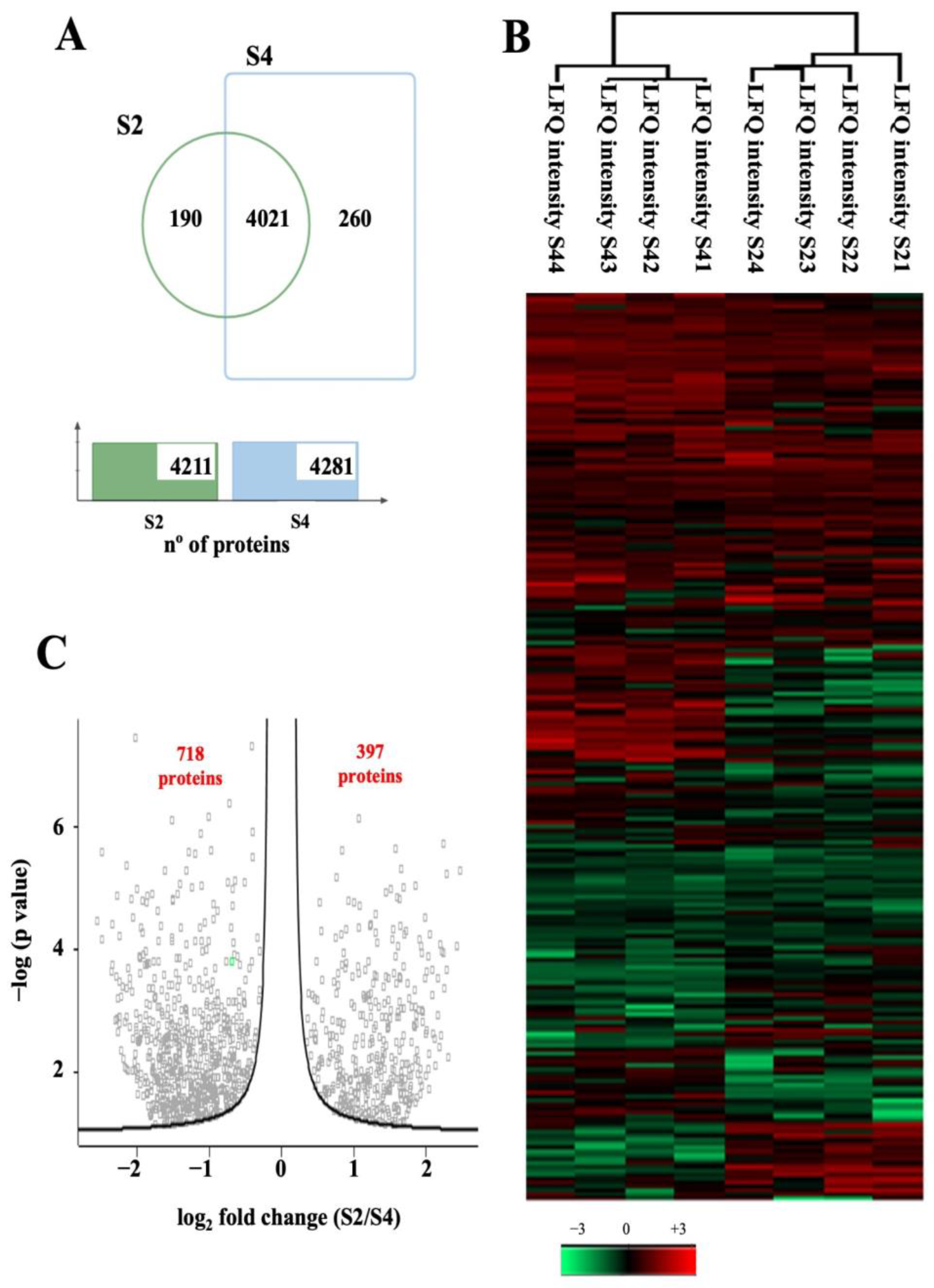 Antioxidants 12 00789 g002
