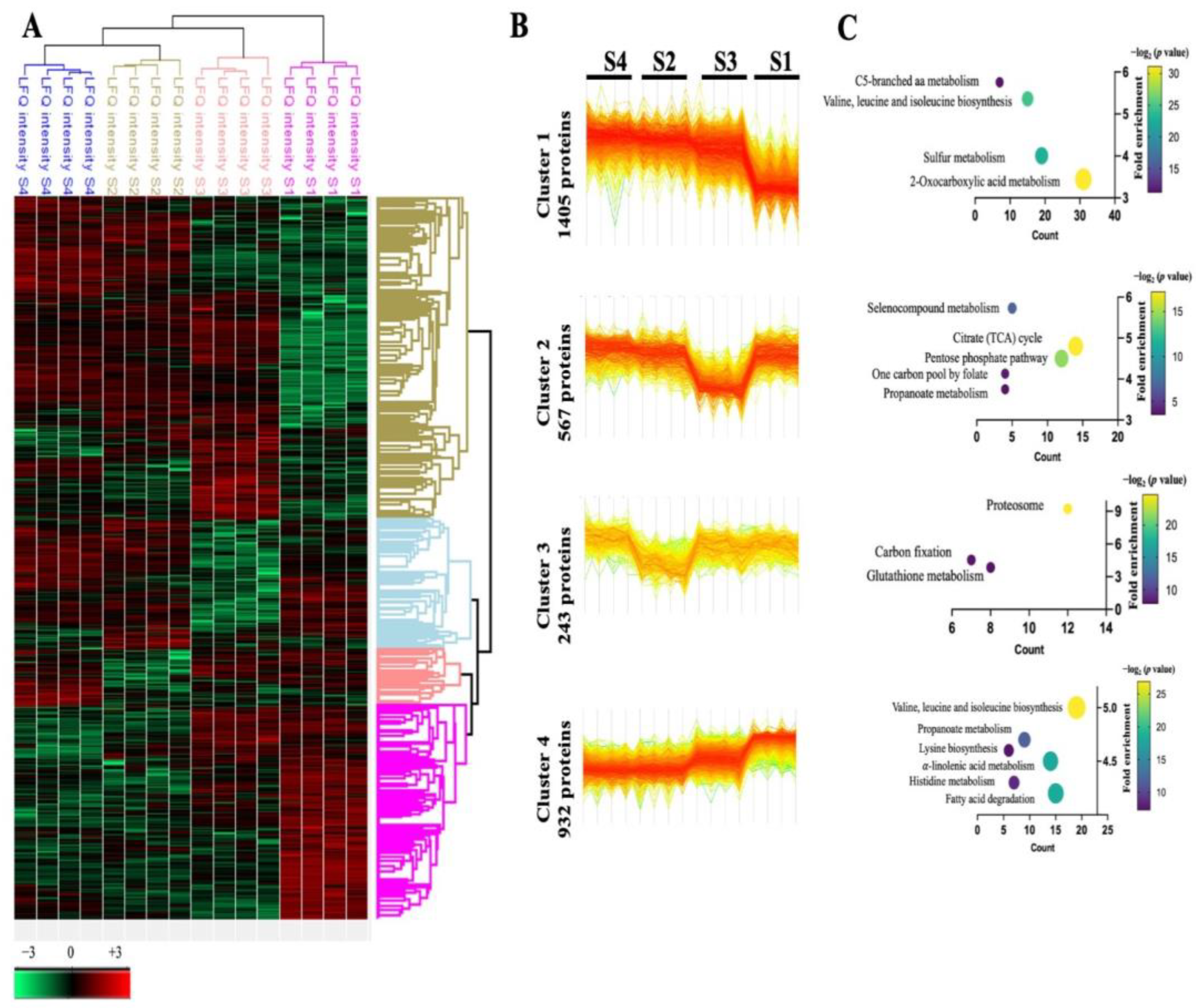 Antioxidants 12 00789 g003