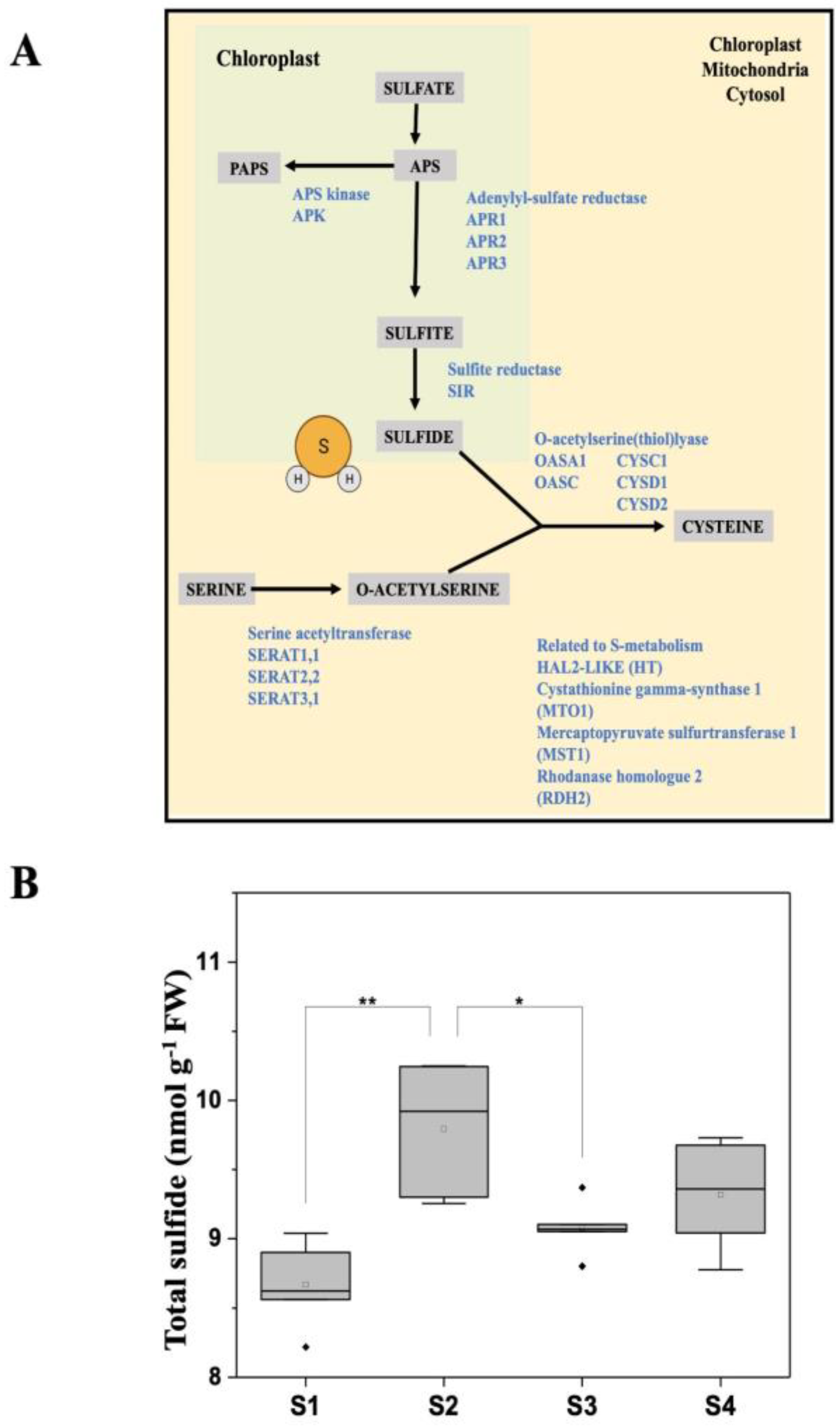 Antioxidants 12 00789 g004