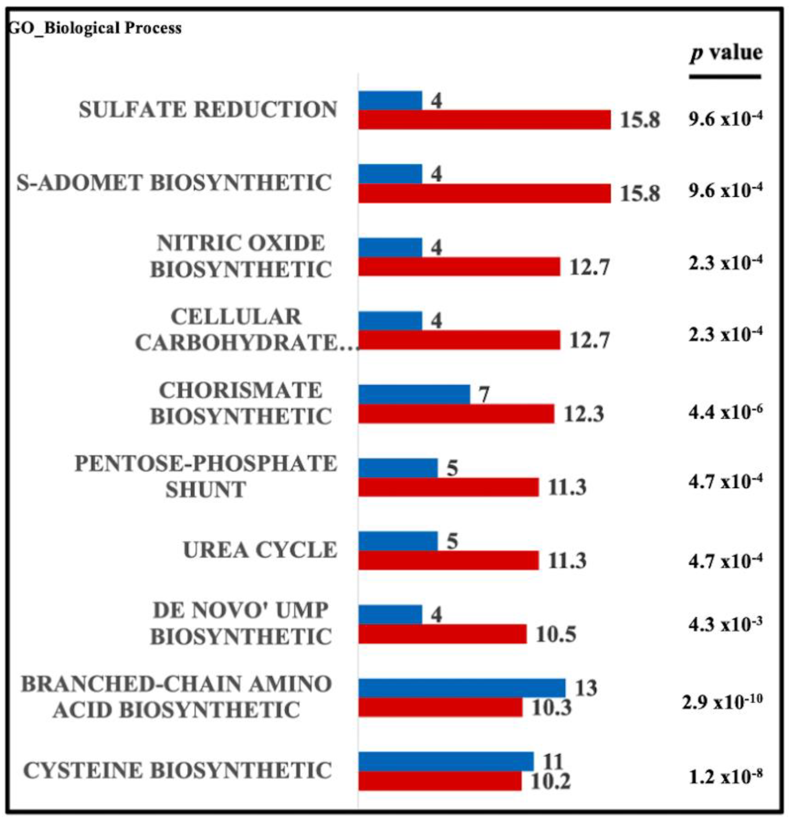 Antioxidants 12 00789 g005