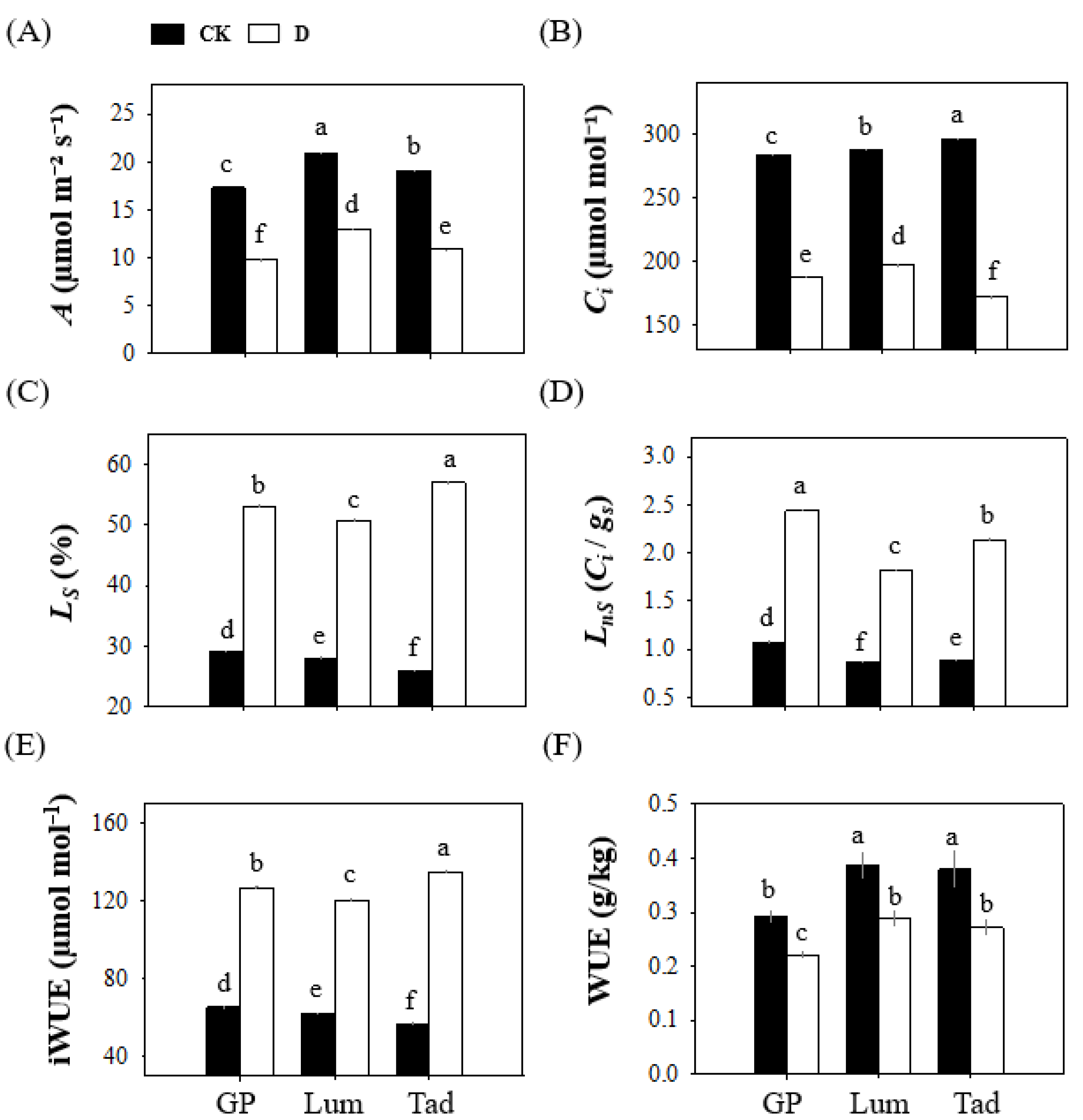 Antioxidants 12 00790 g003