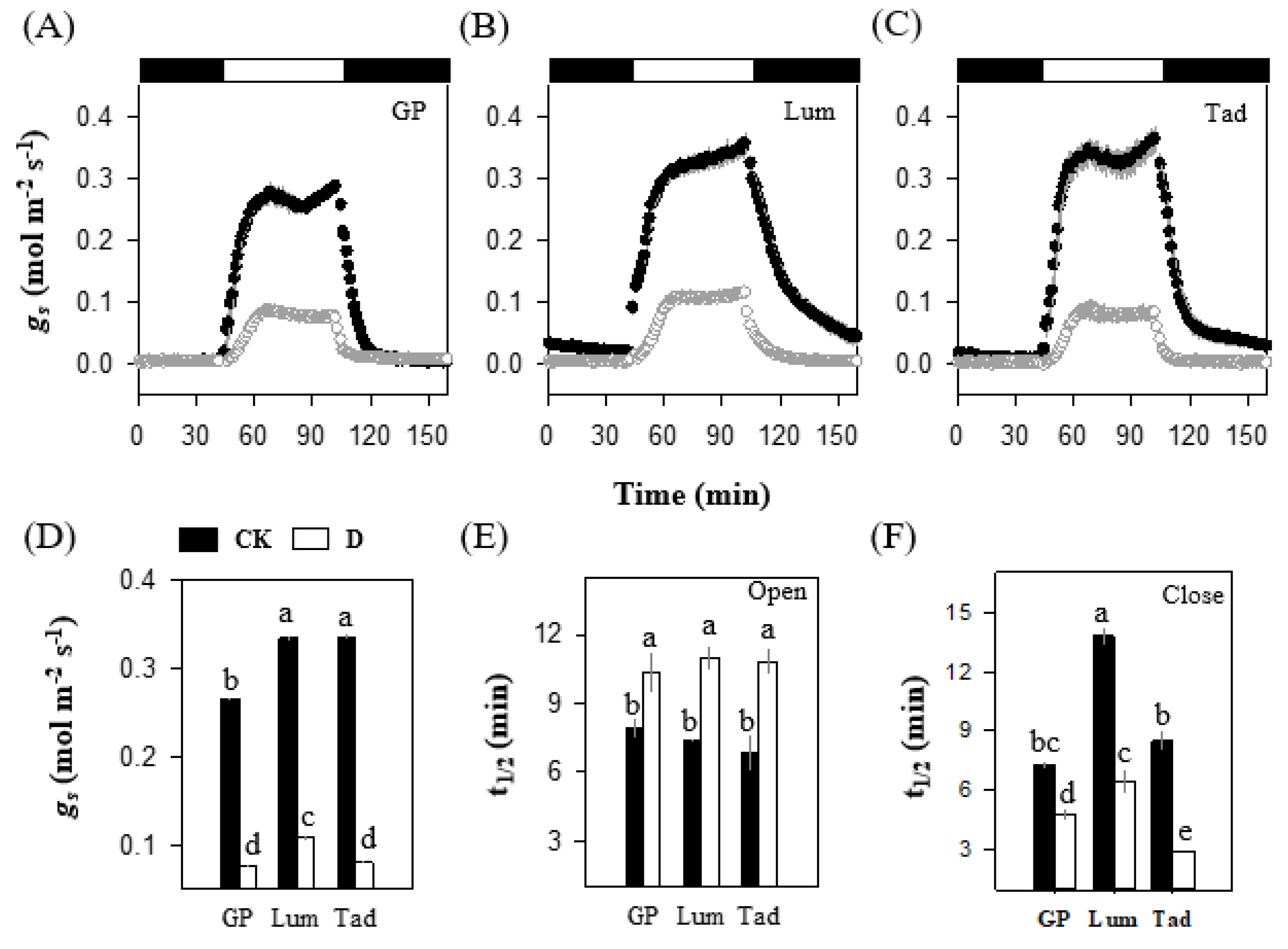 Antioxidants 12 00790 g004