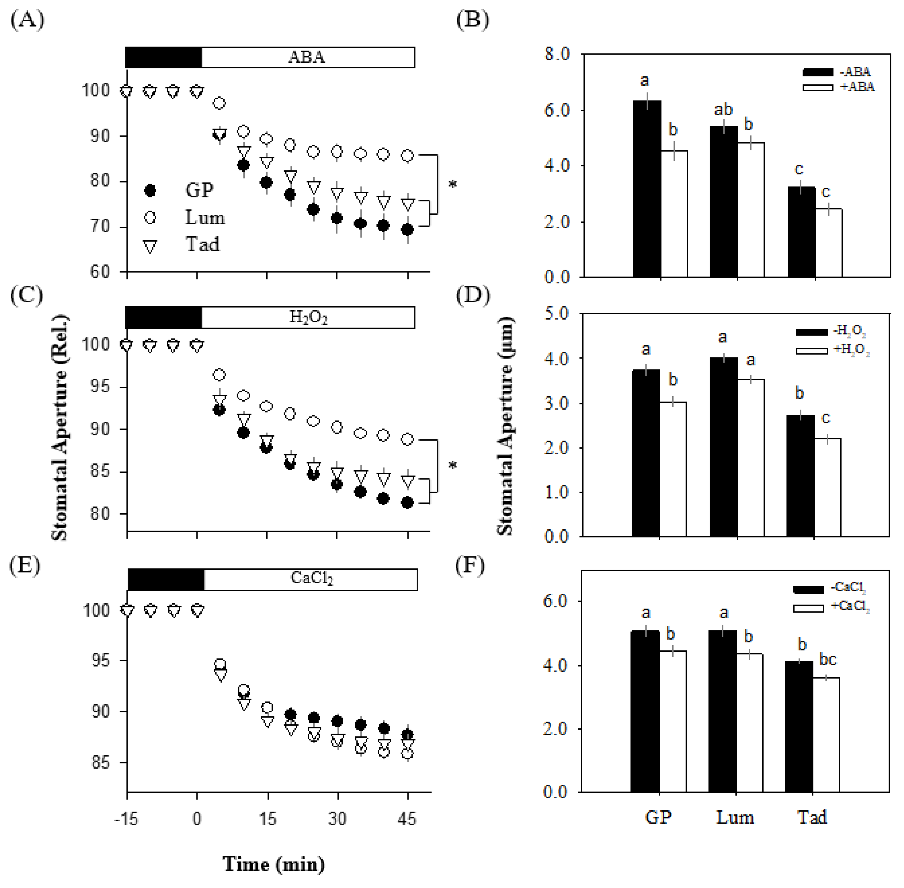 Antioxidants 12 00790 g005