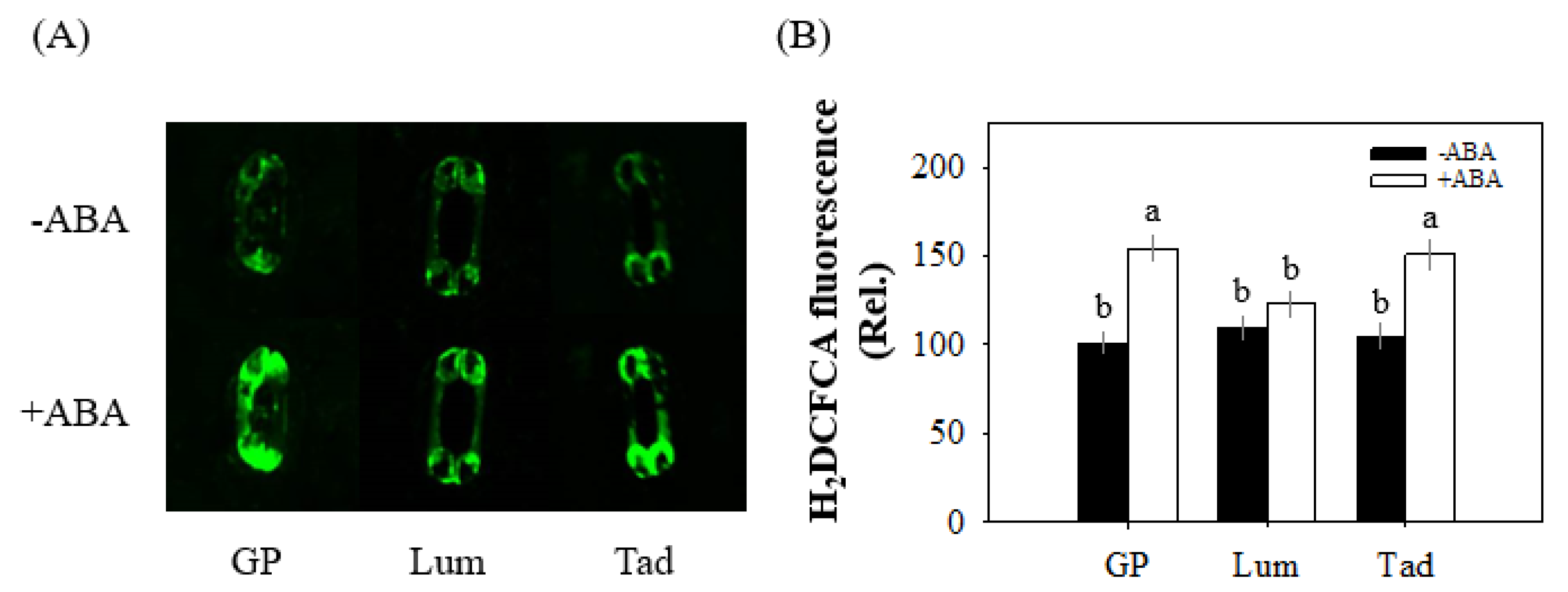 Antioxidants 12 00790 g007