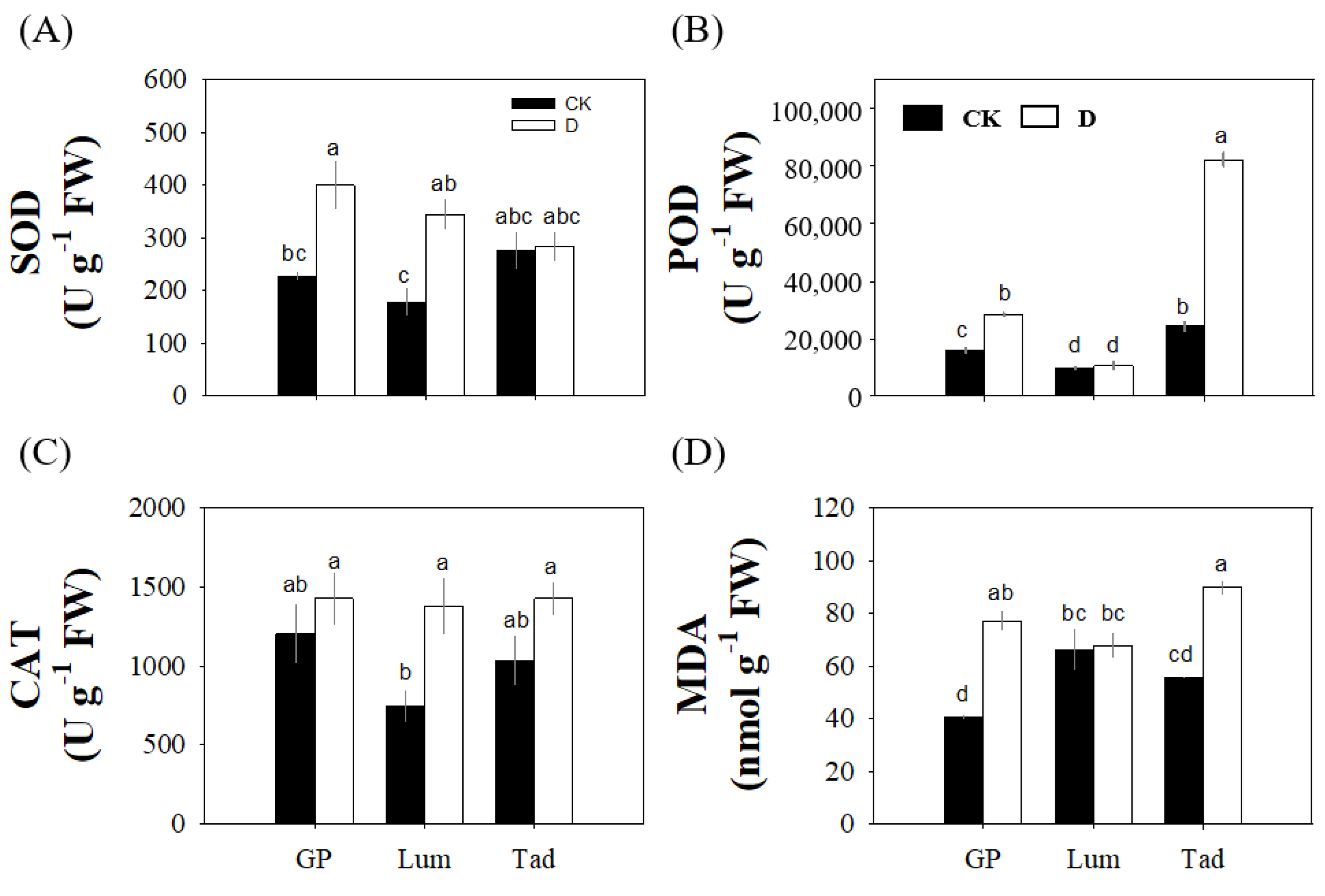 Antioxidants 12 00790 g008