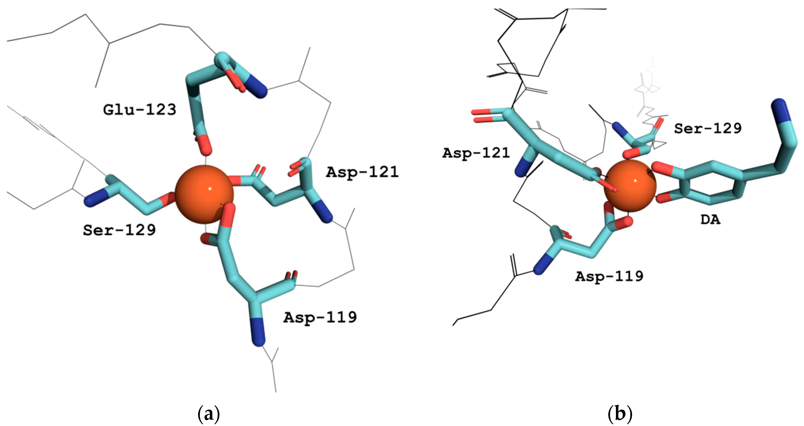 Antioxidants 12 00791 g001 Antioxidants 12 00791 g001