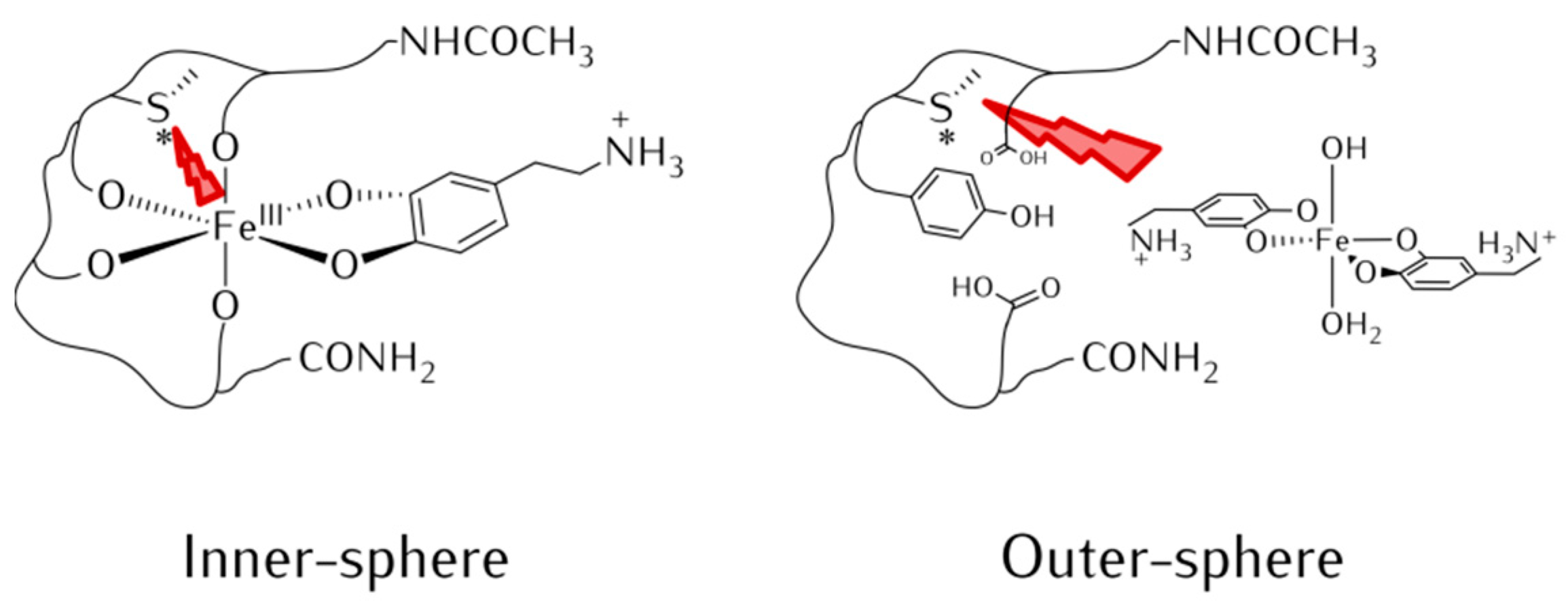 Antioxidants 12 00791 sch004 Antioxidants 12 00791 sch004