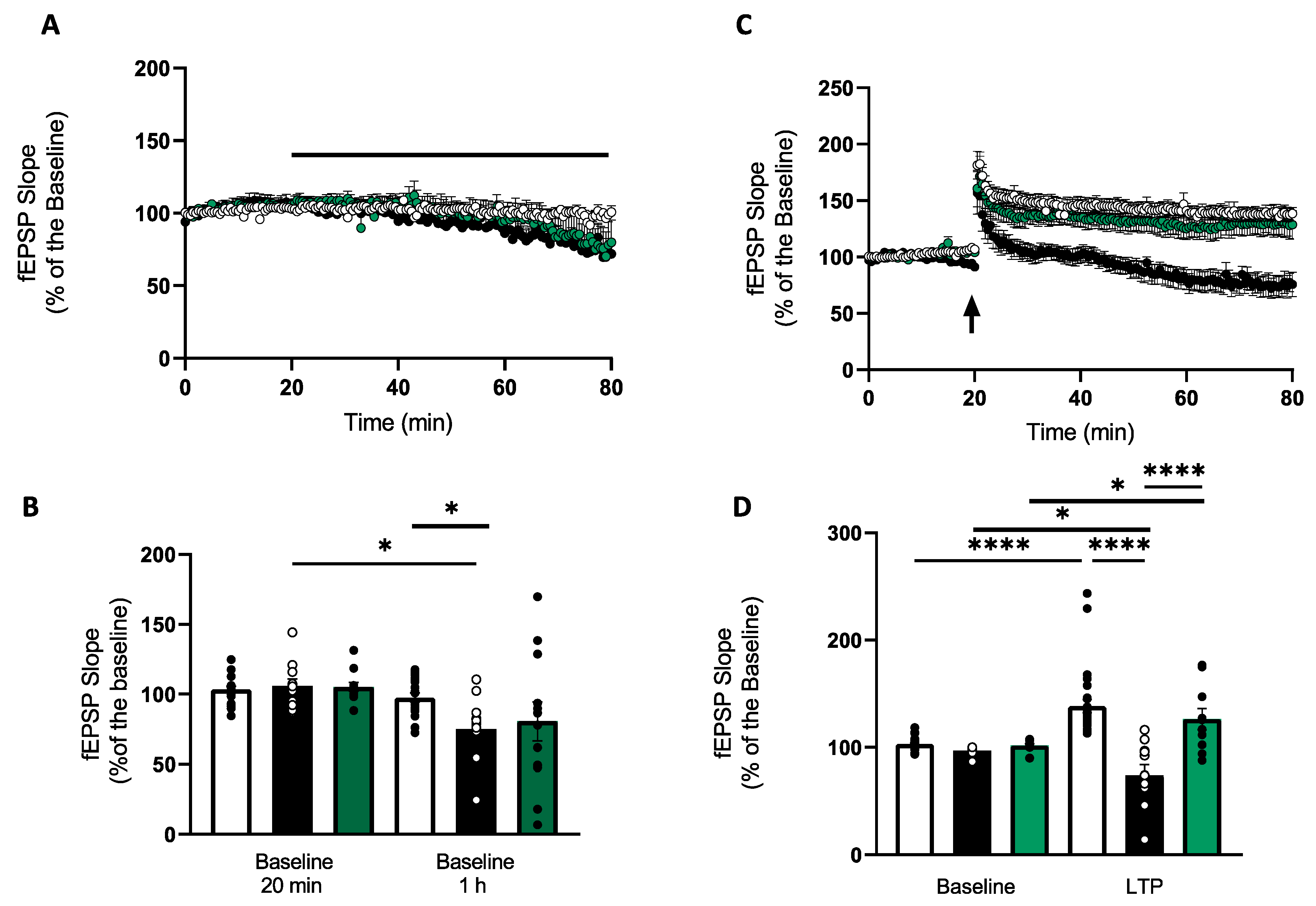 Antioxidants 12 00792 g001