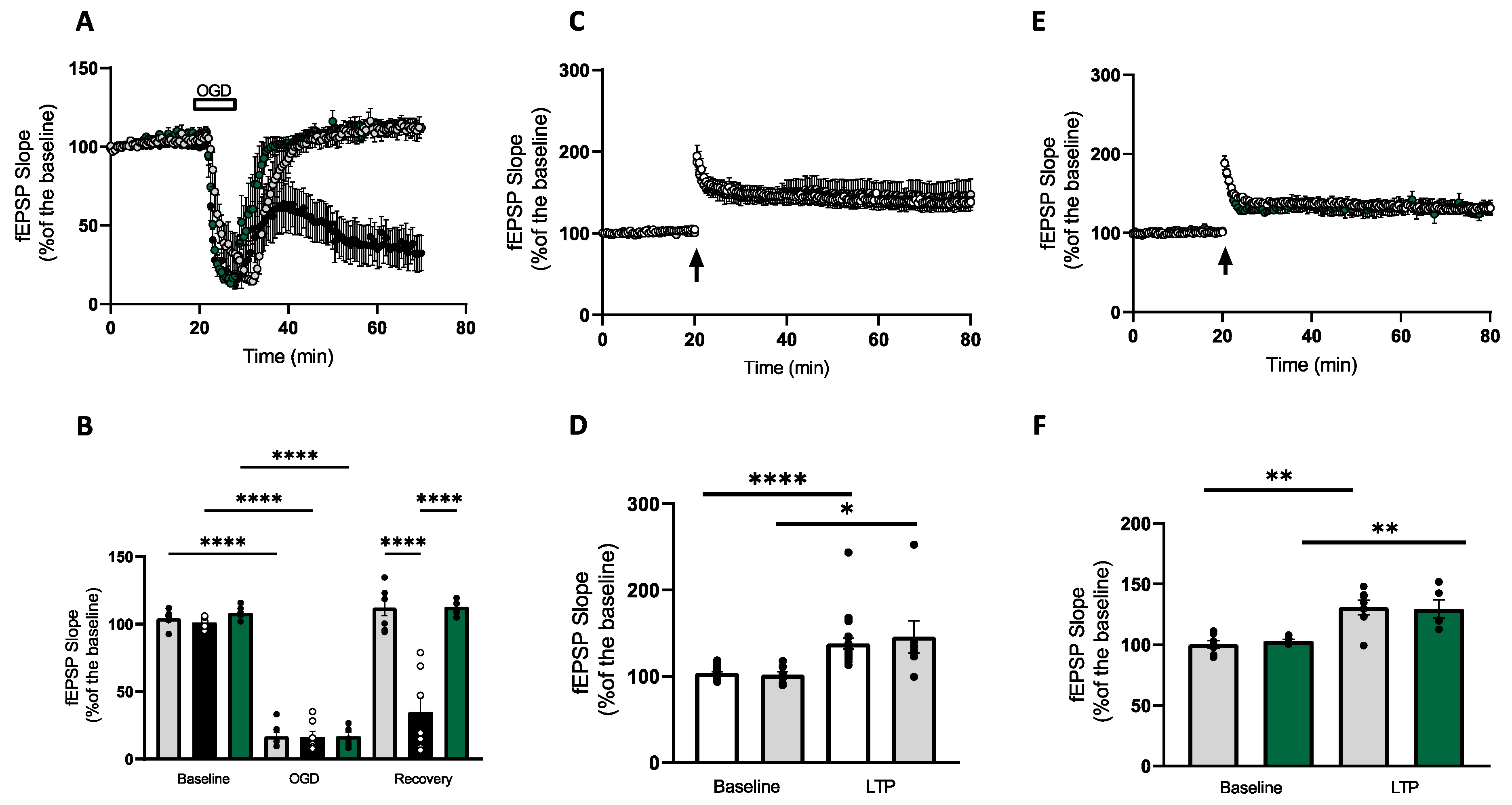 Antioxidants 12 00792 g002