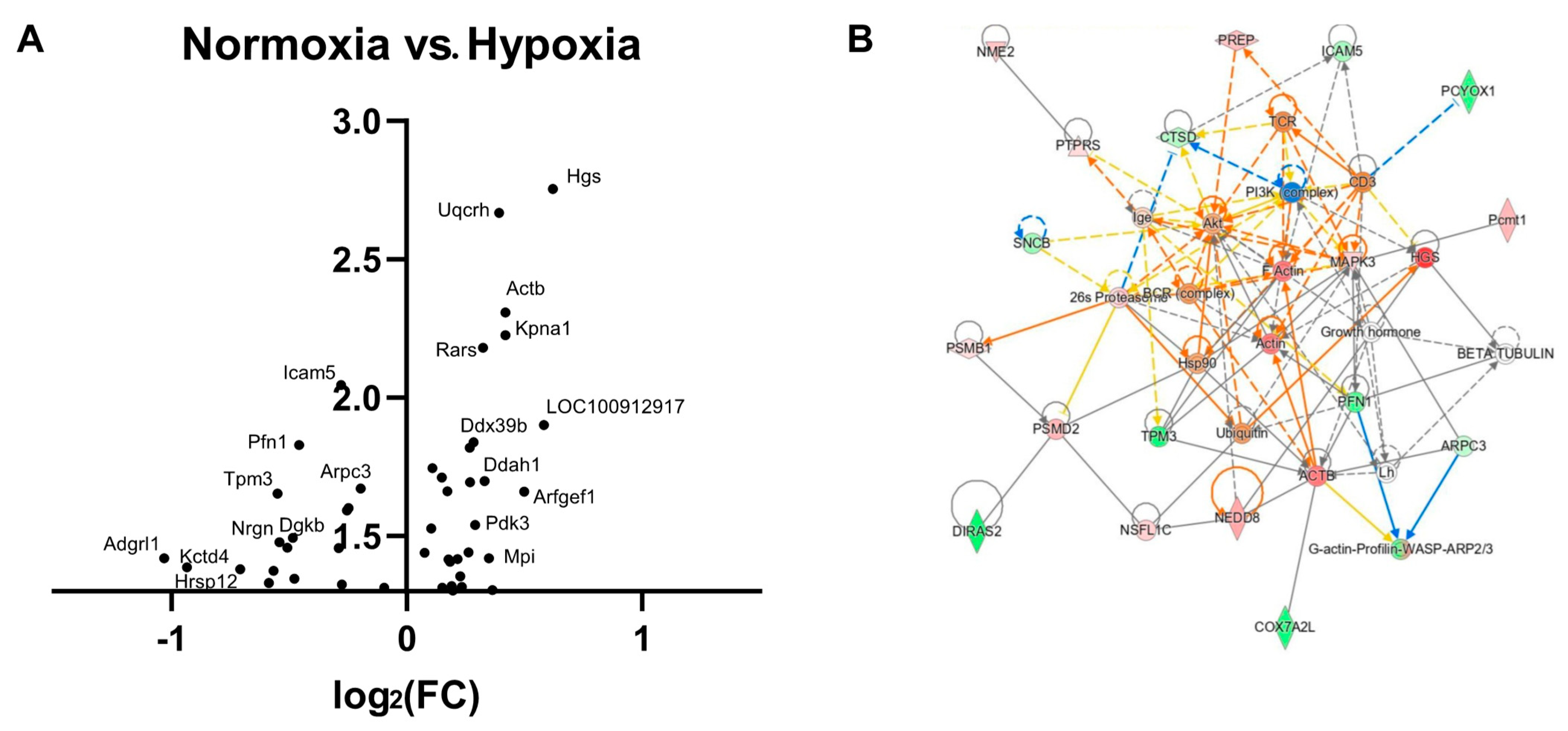Antioxidants 12 00792 g004
