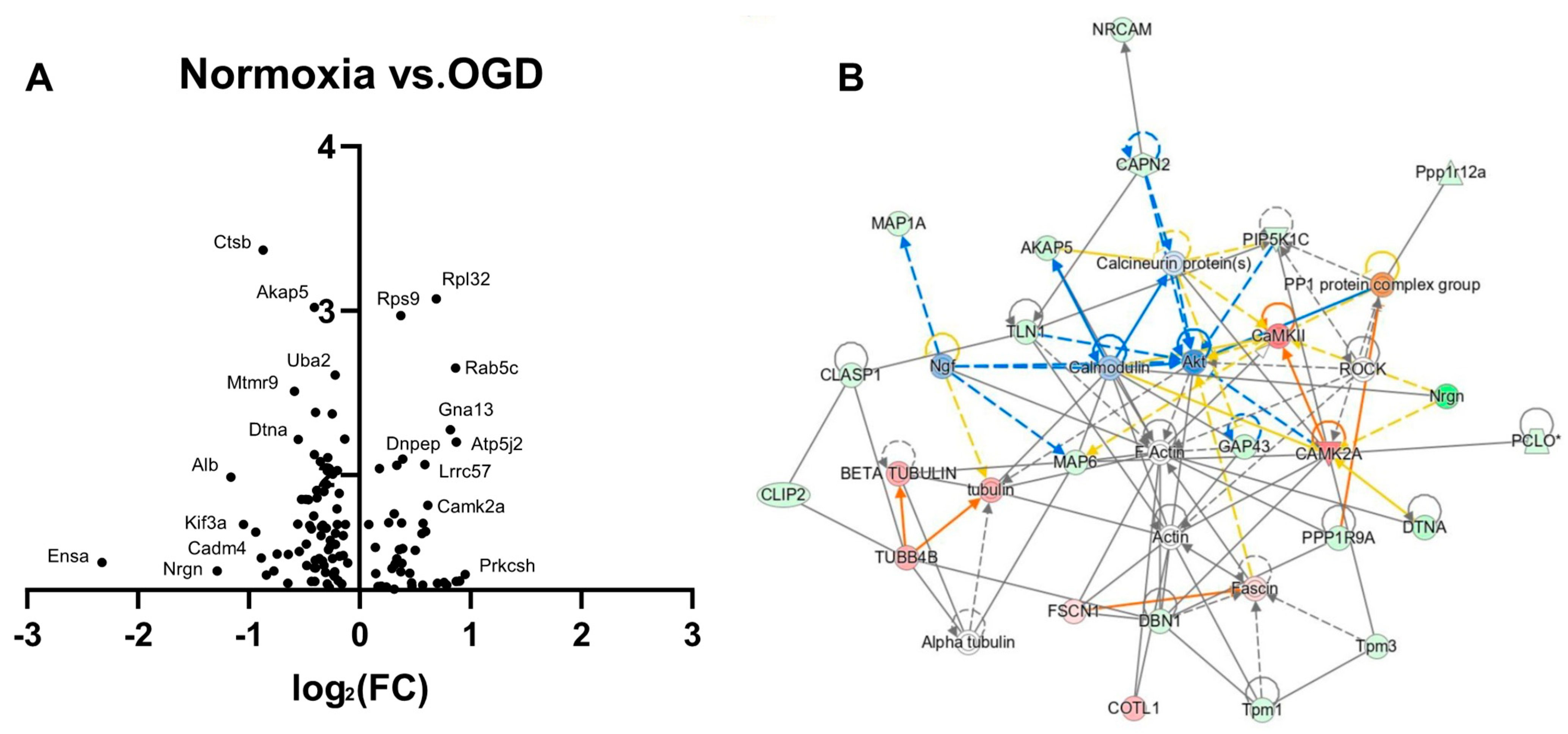 Antioxidants 12 00792 g005