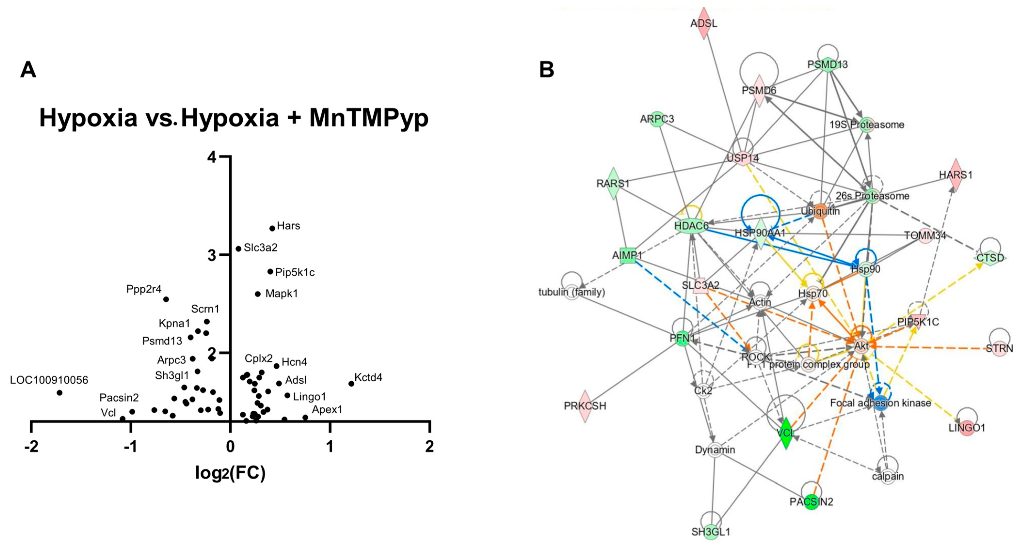 Antioxidants 12 00792 g007