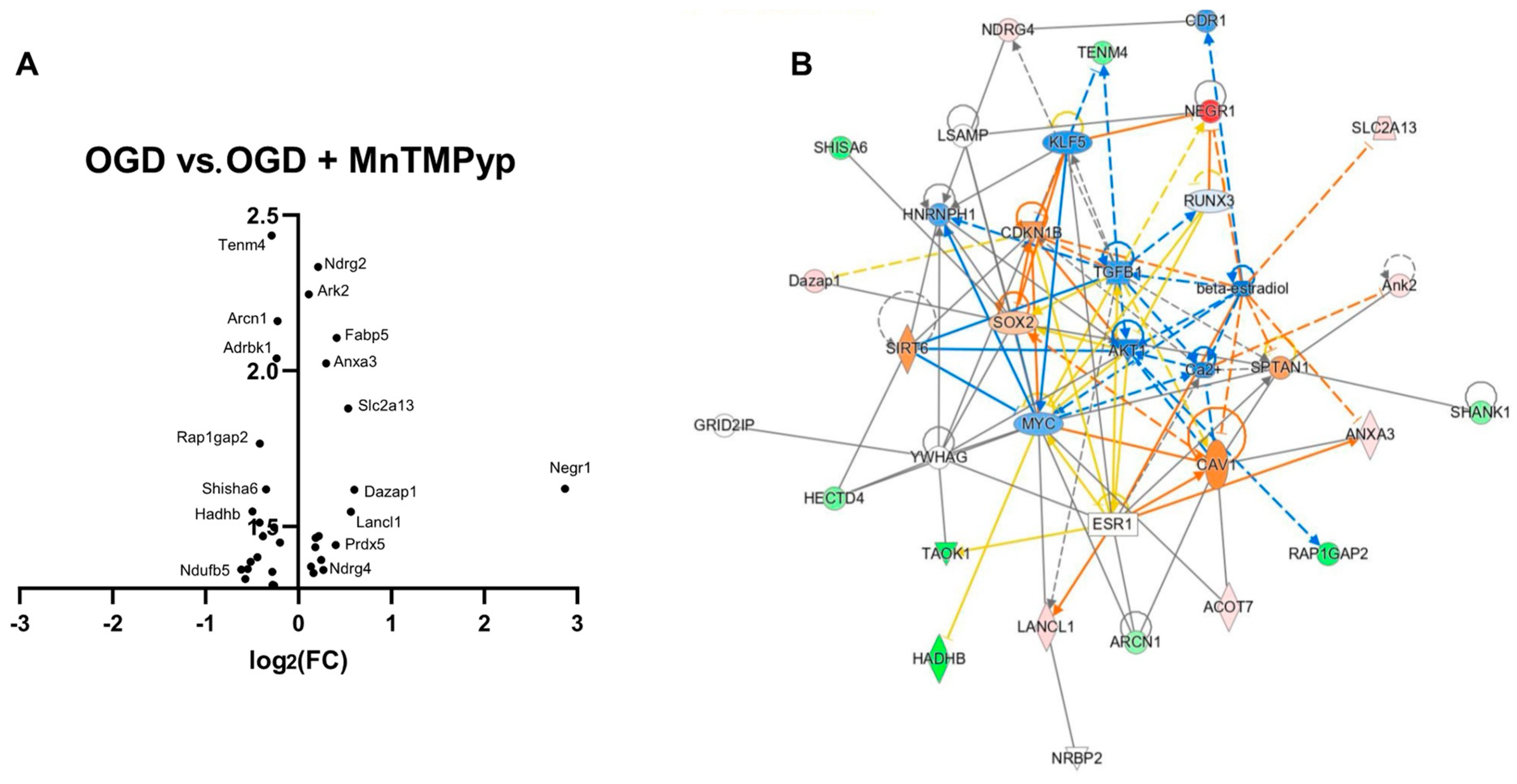 Antioxidants 12 00792 g008