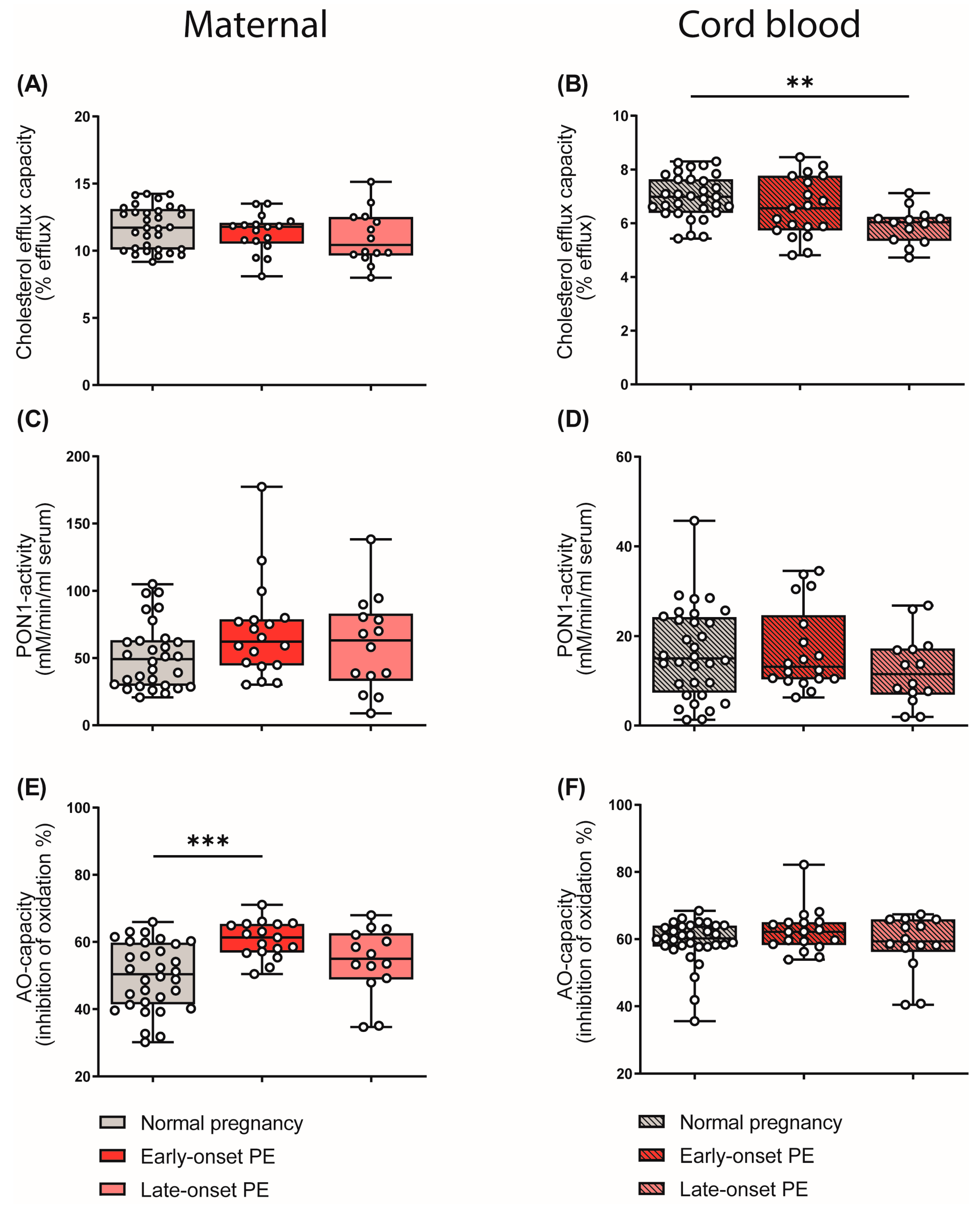 Antioxidants 12 00795 g006