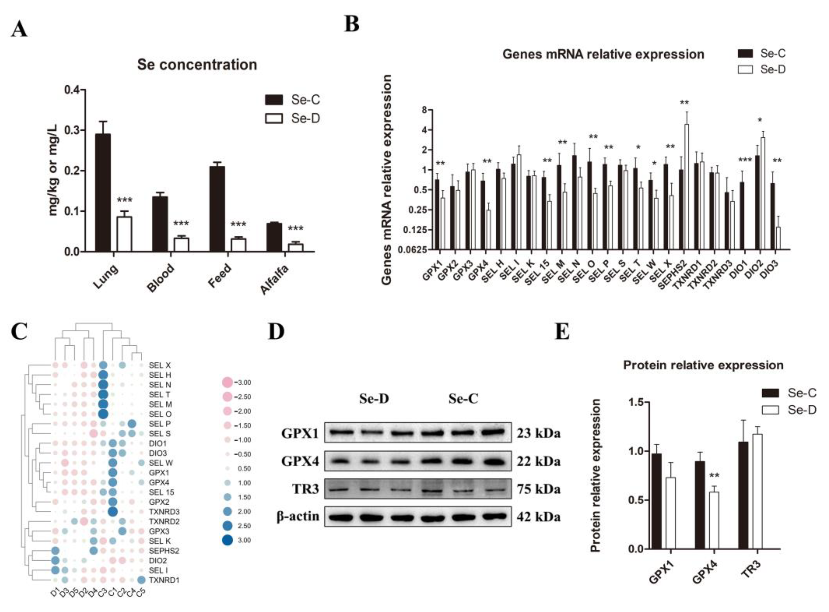 Antioxidants 12 00796 g001