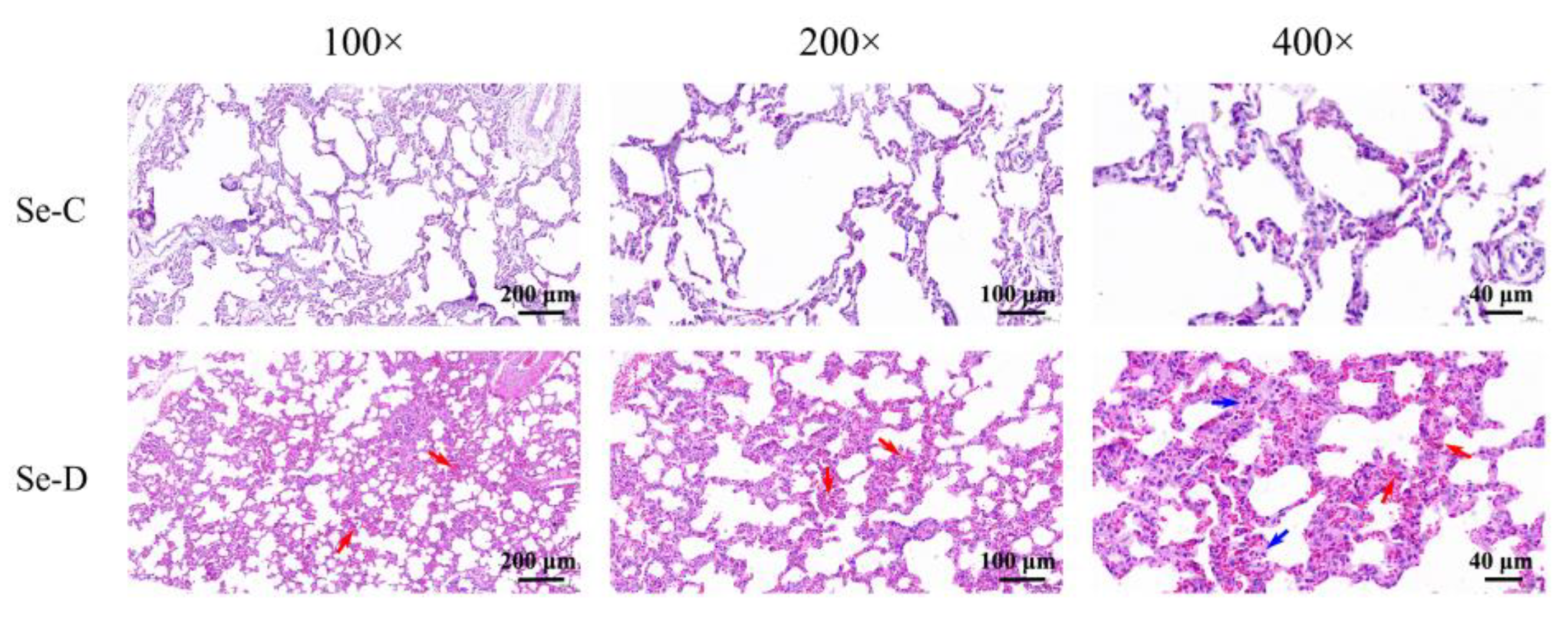 Antioxidants 12 00796 g002