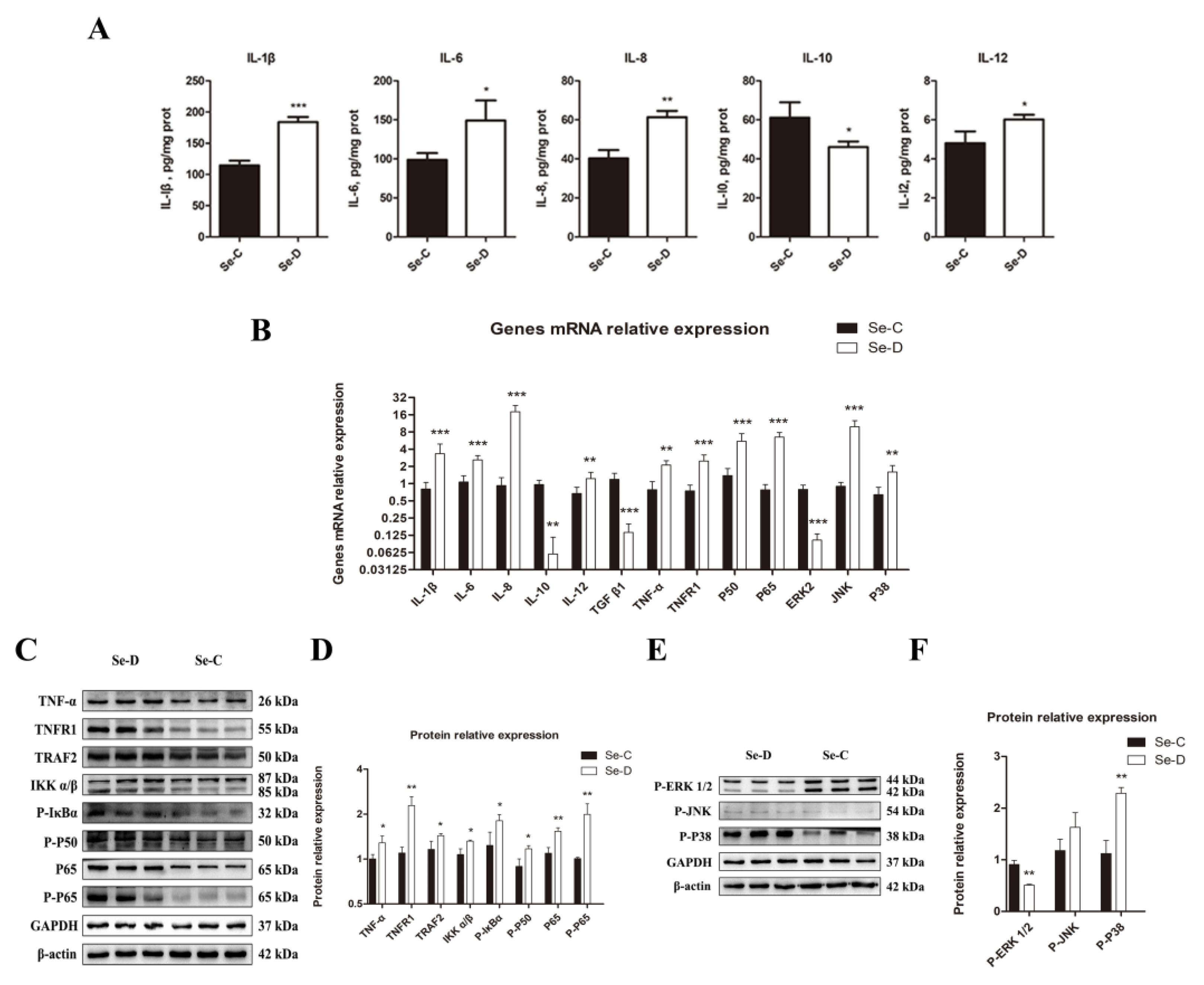 Antioxidants 12 00796 g005
