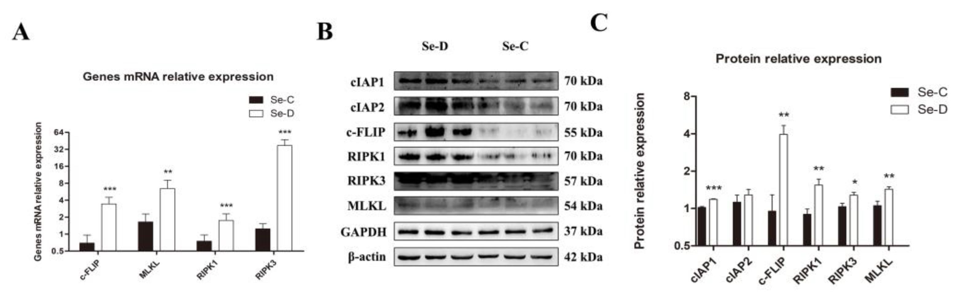 Antioxidants 12 00796 g006