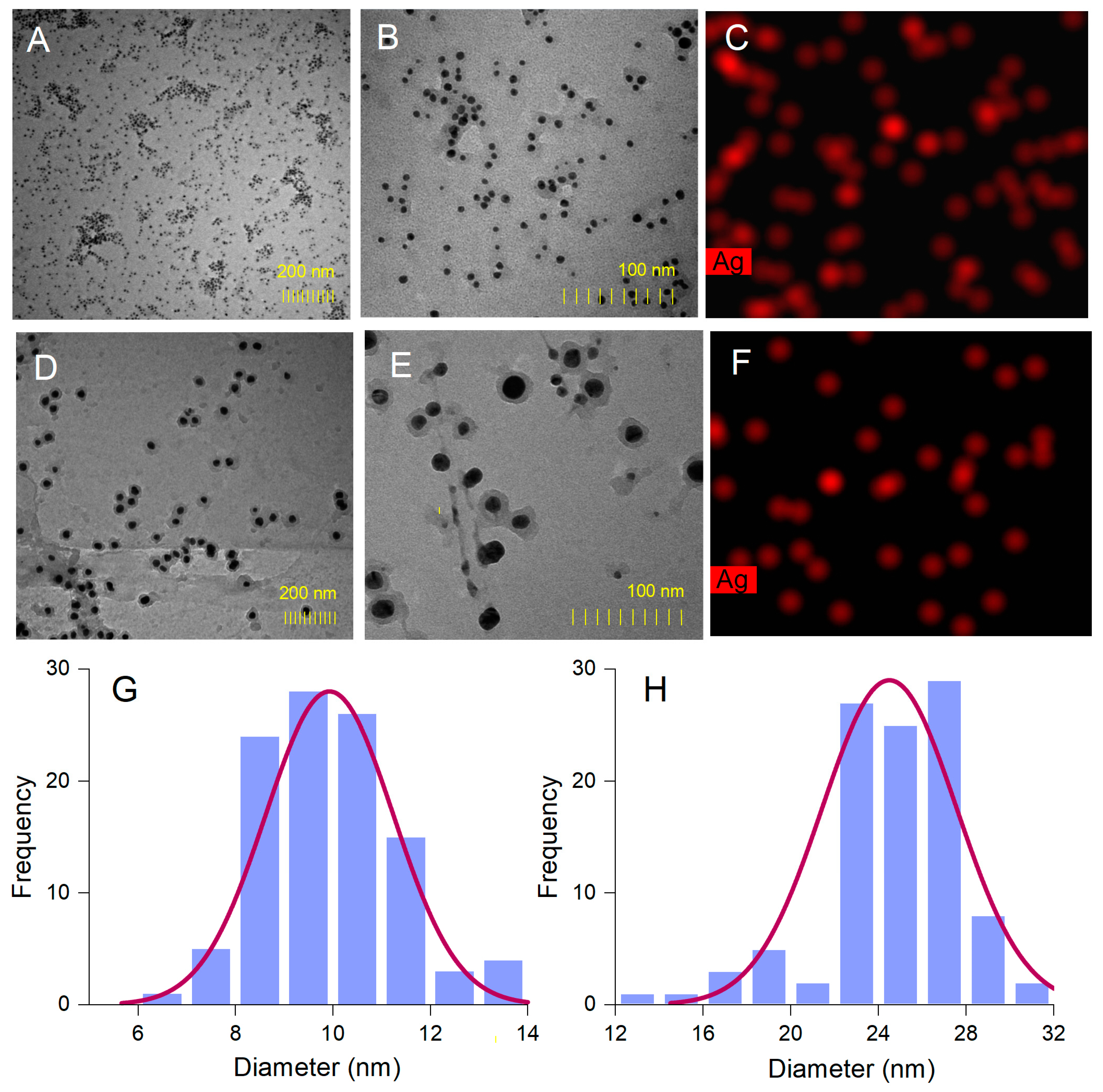 Antioxidants 12 00797 g005