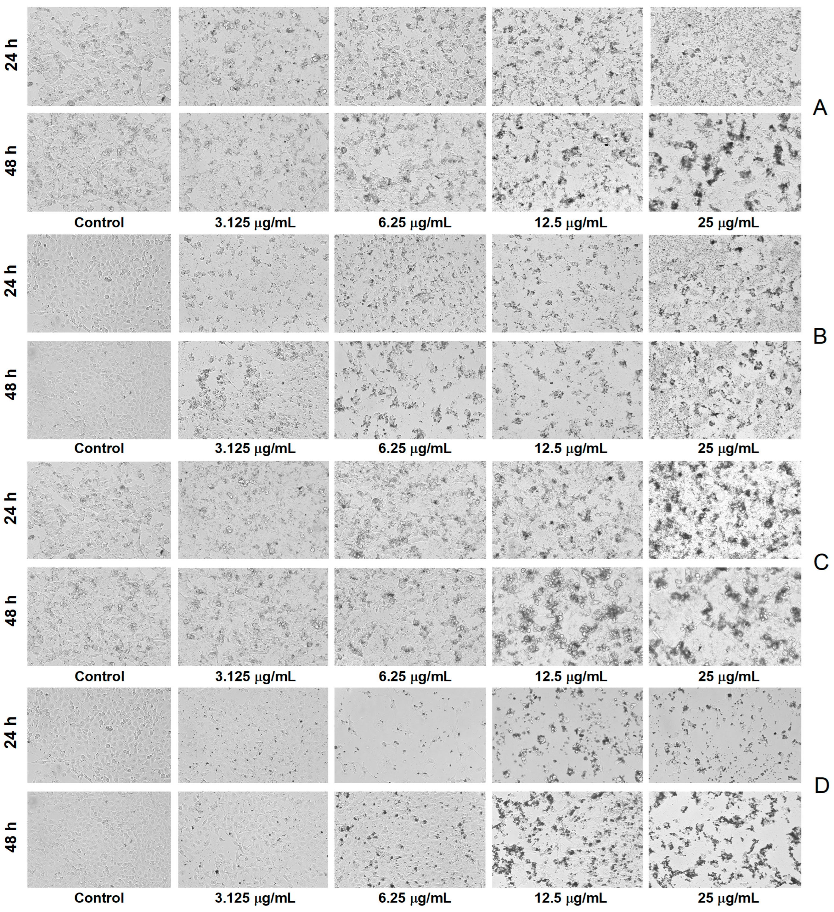 Antioxidants 12 00797 g008