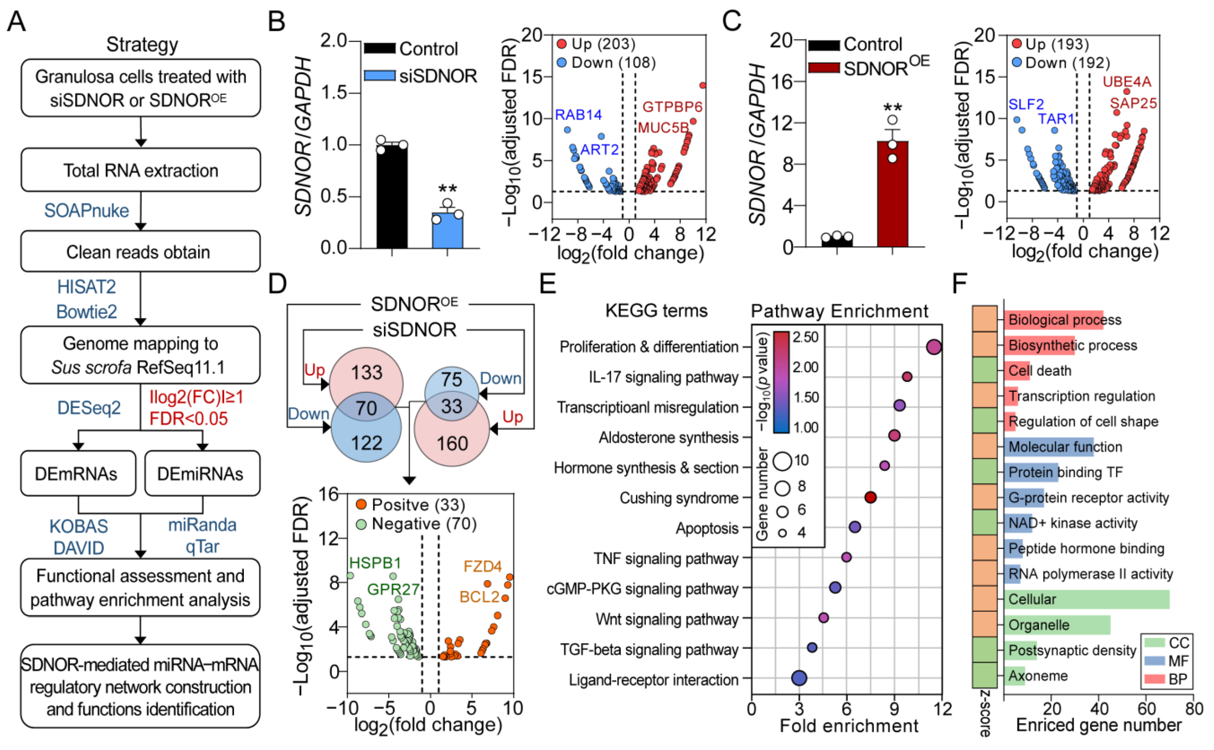 Antioxidants 12 00799 g001