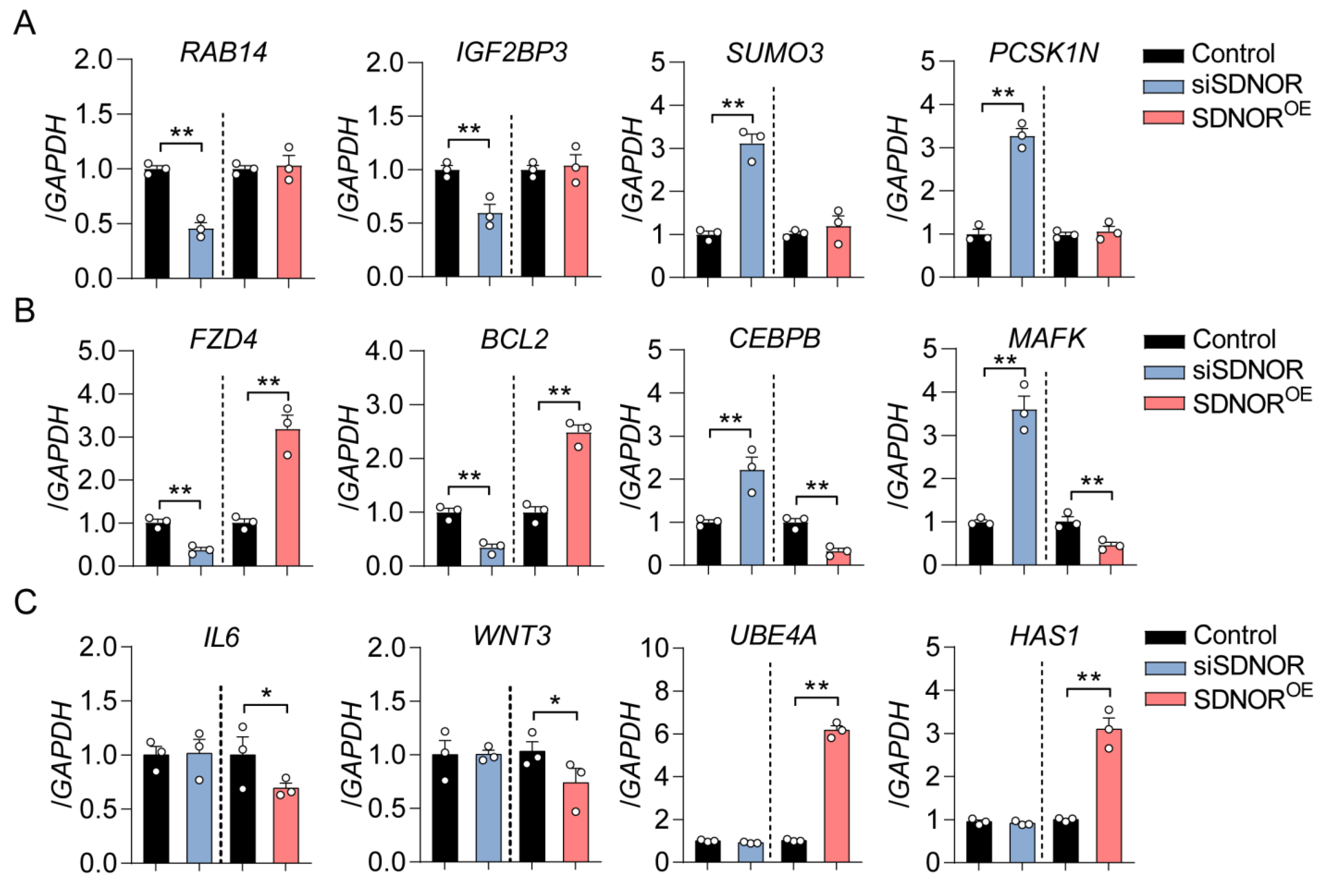 Antioxidants 12 00799 g002
